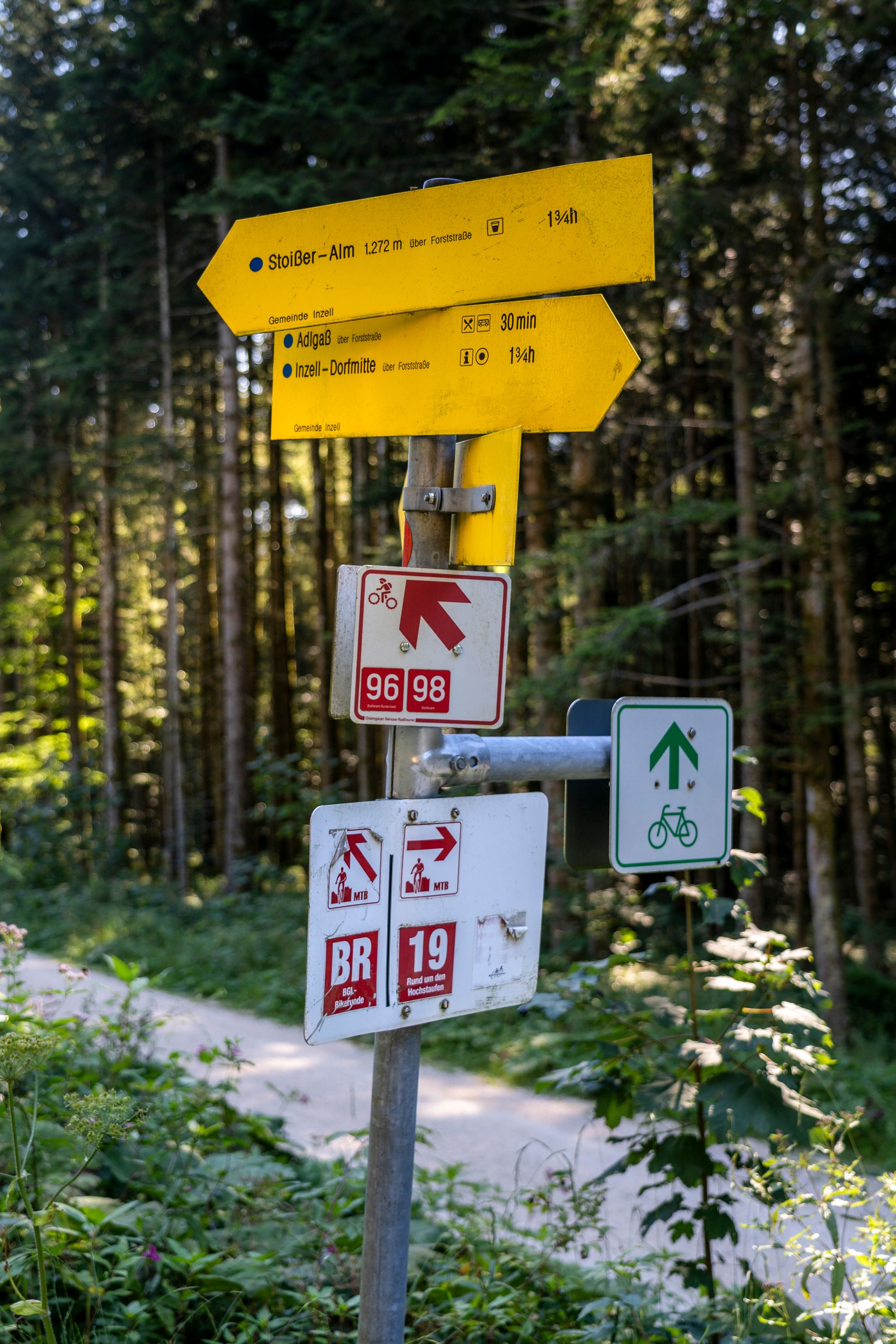 Viele Wege für Mountainbiker am Teisenberg