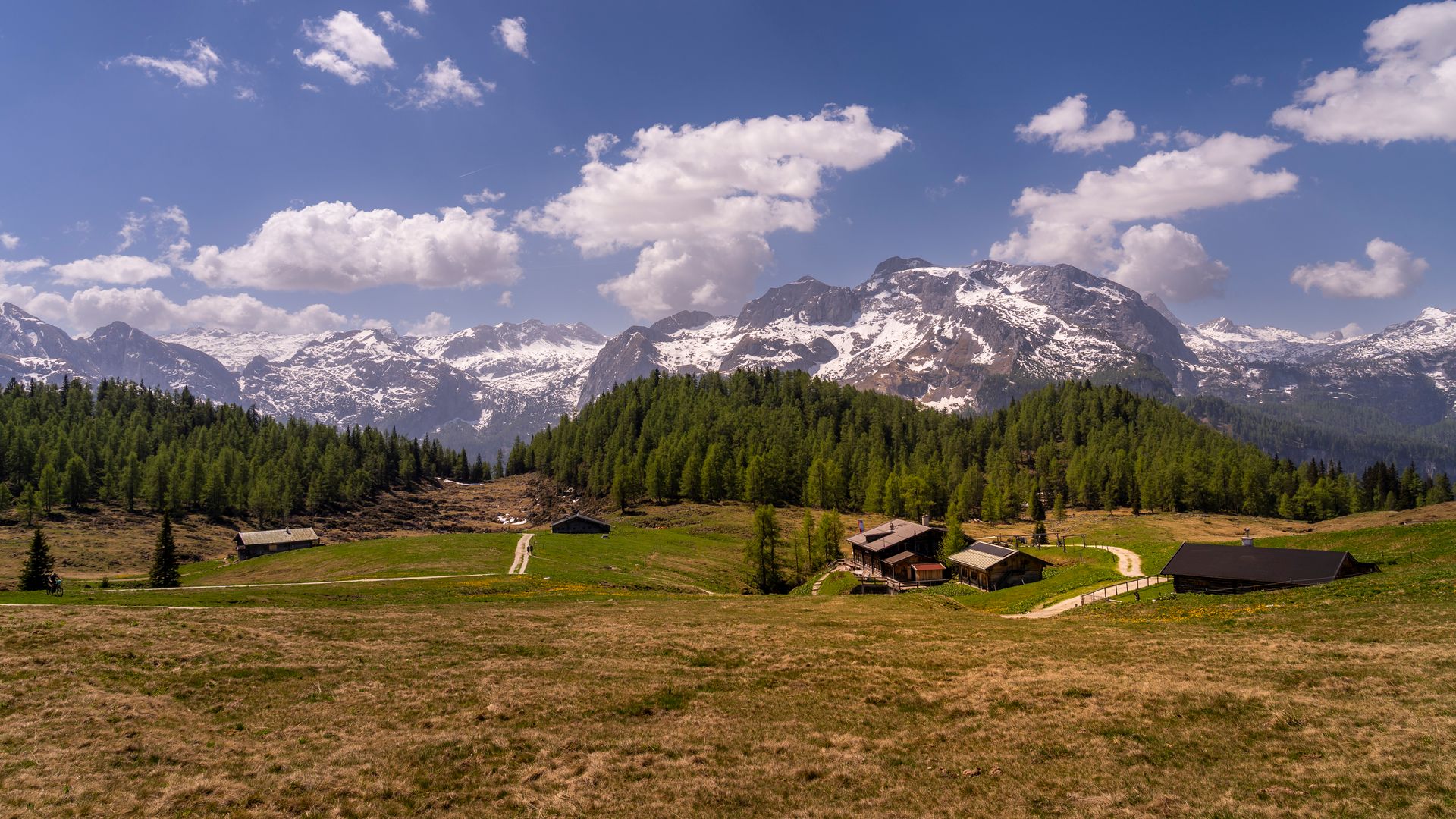 Die Gotzenalm