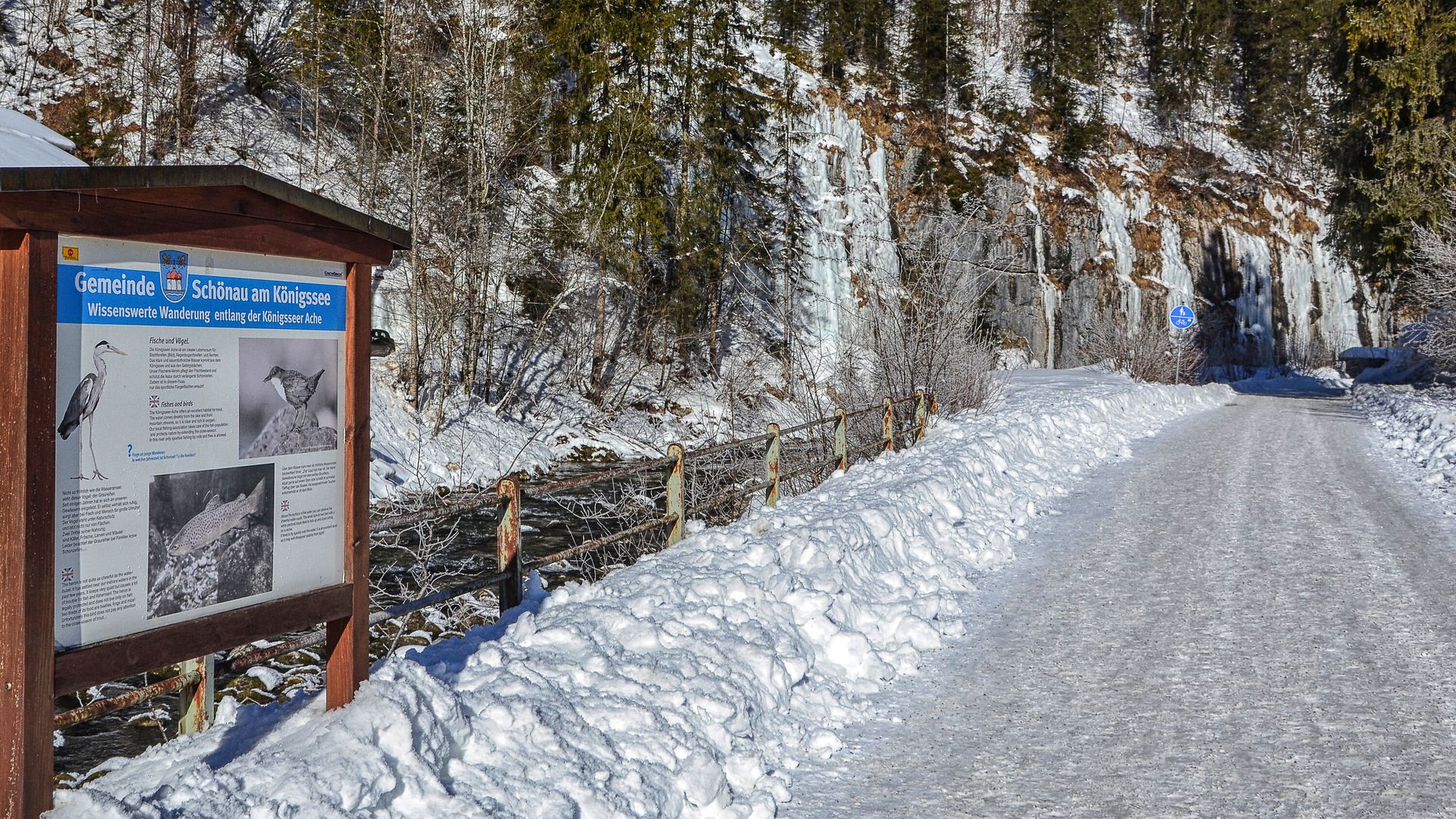 Winter an der Nassen Wand am Königsseer Fußweg