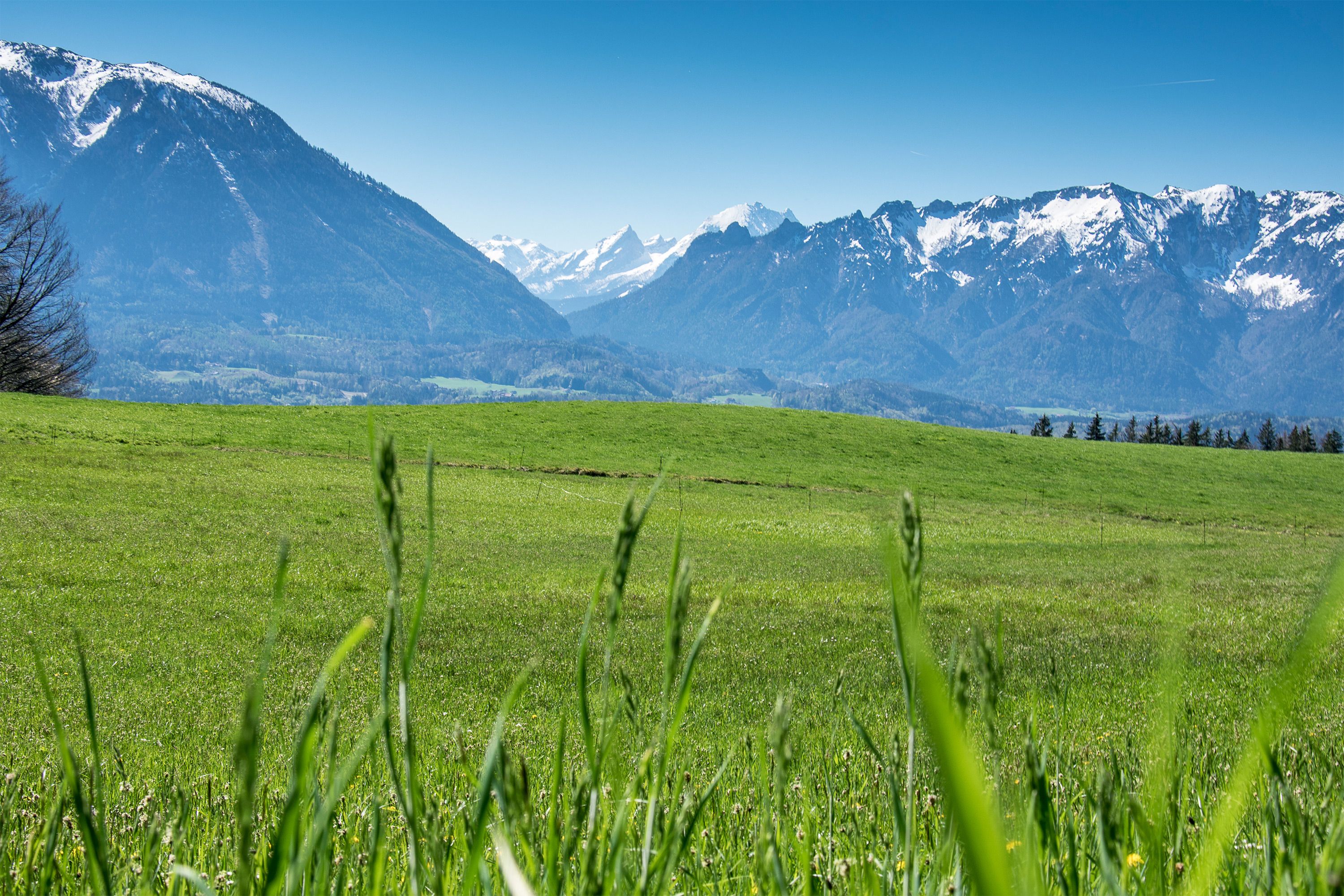 Blick zu den Berchtesgadener Bergen