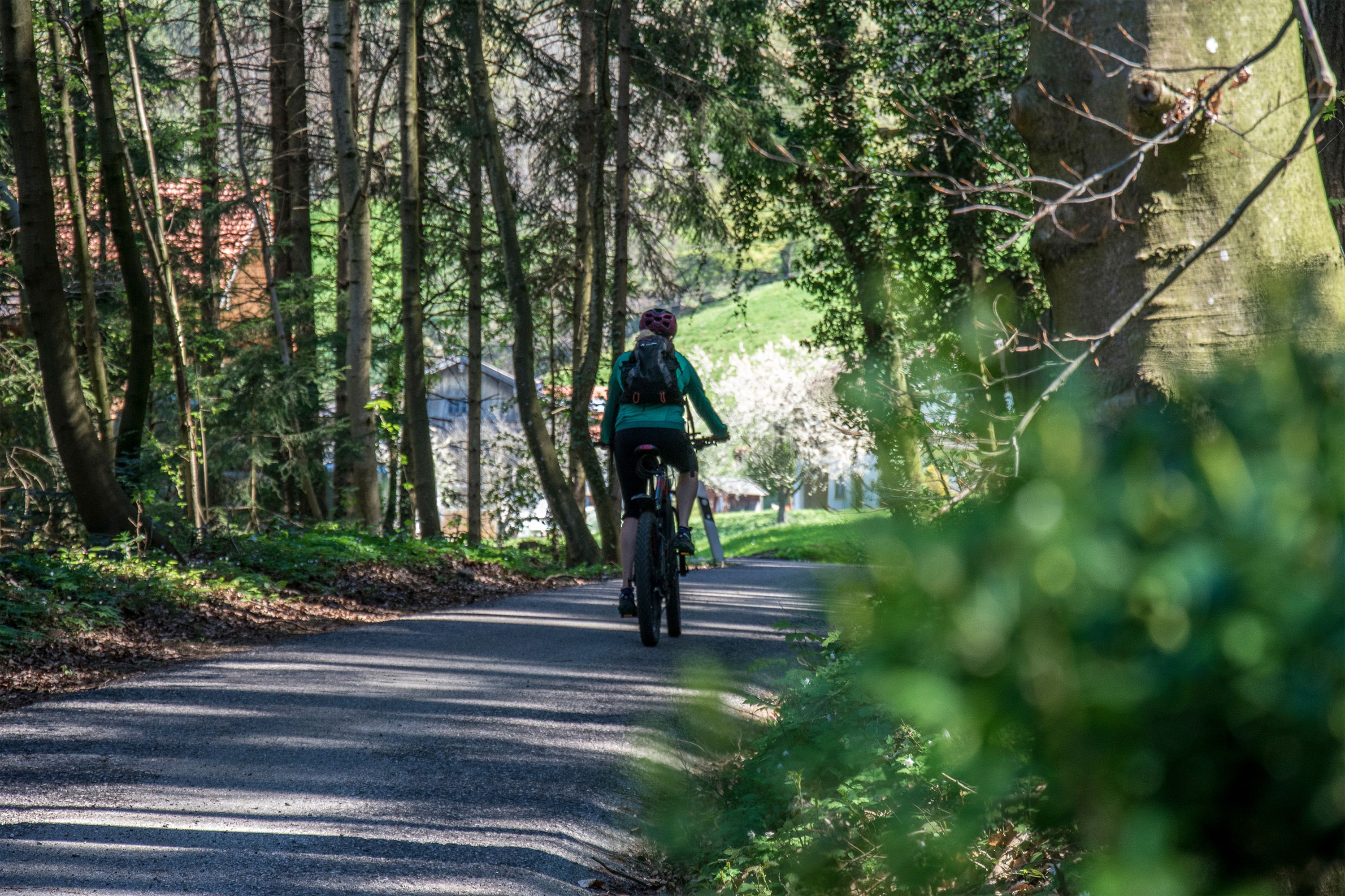 Mit dem Mountainbike am Högl unterwegs