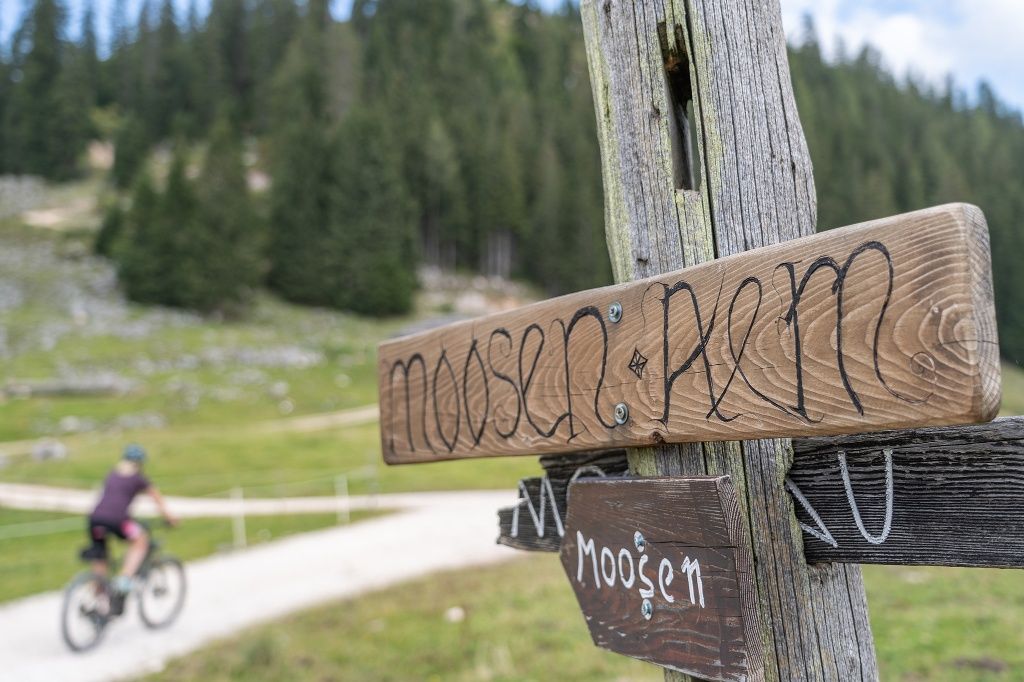 Wegweiser auf der Moosenalm
