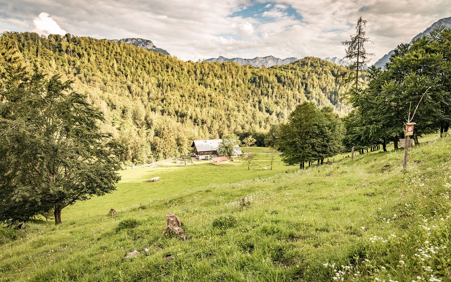 Die Höllenbachalm