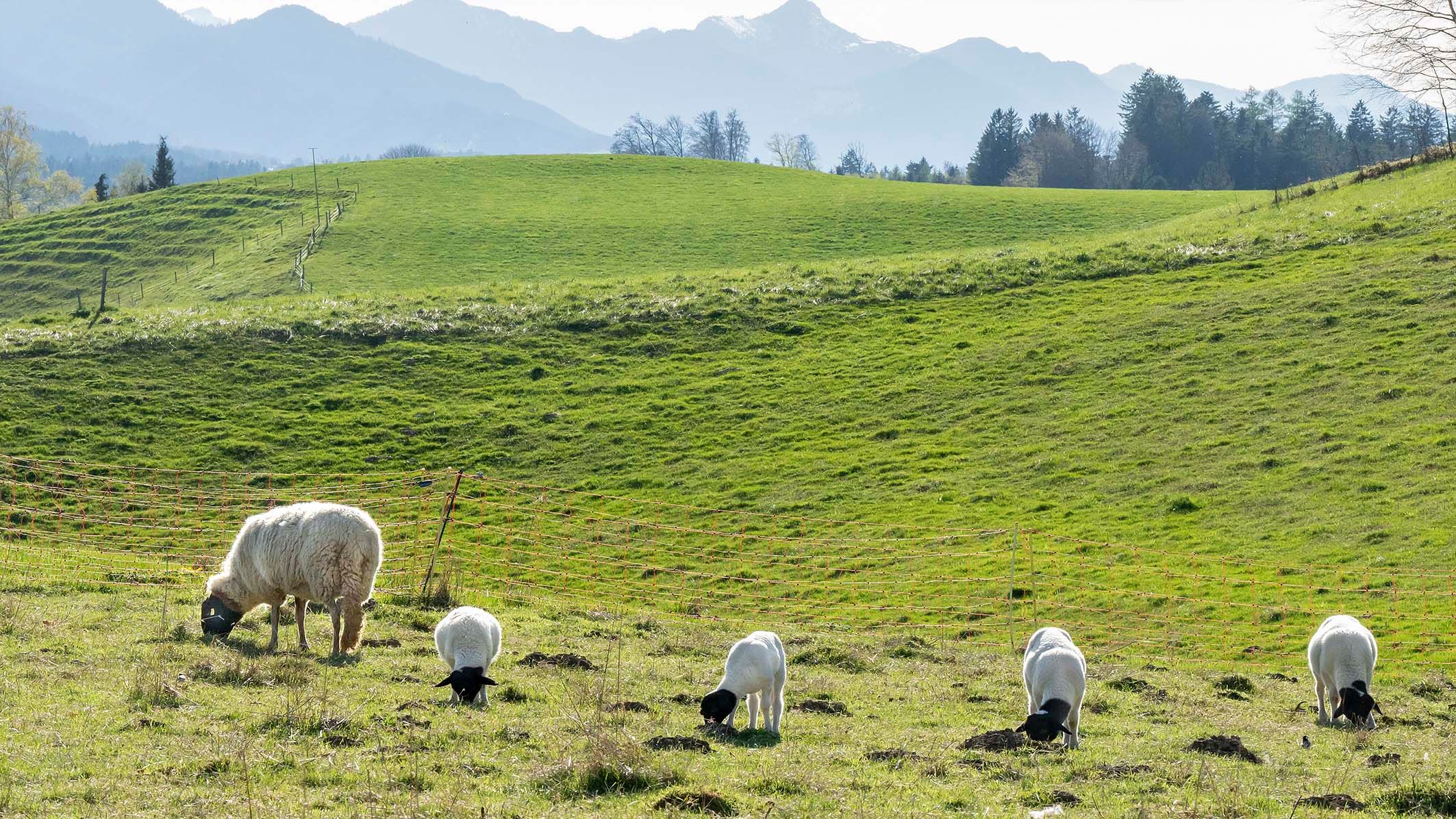 Neukirchen Teisendorf