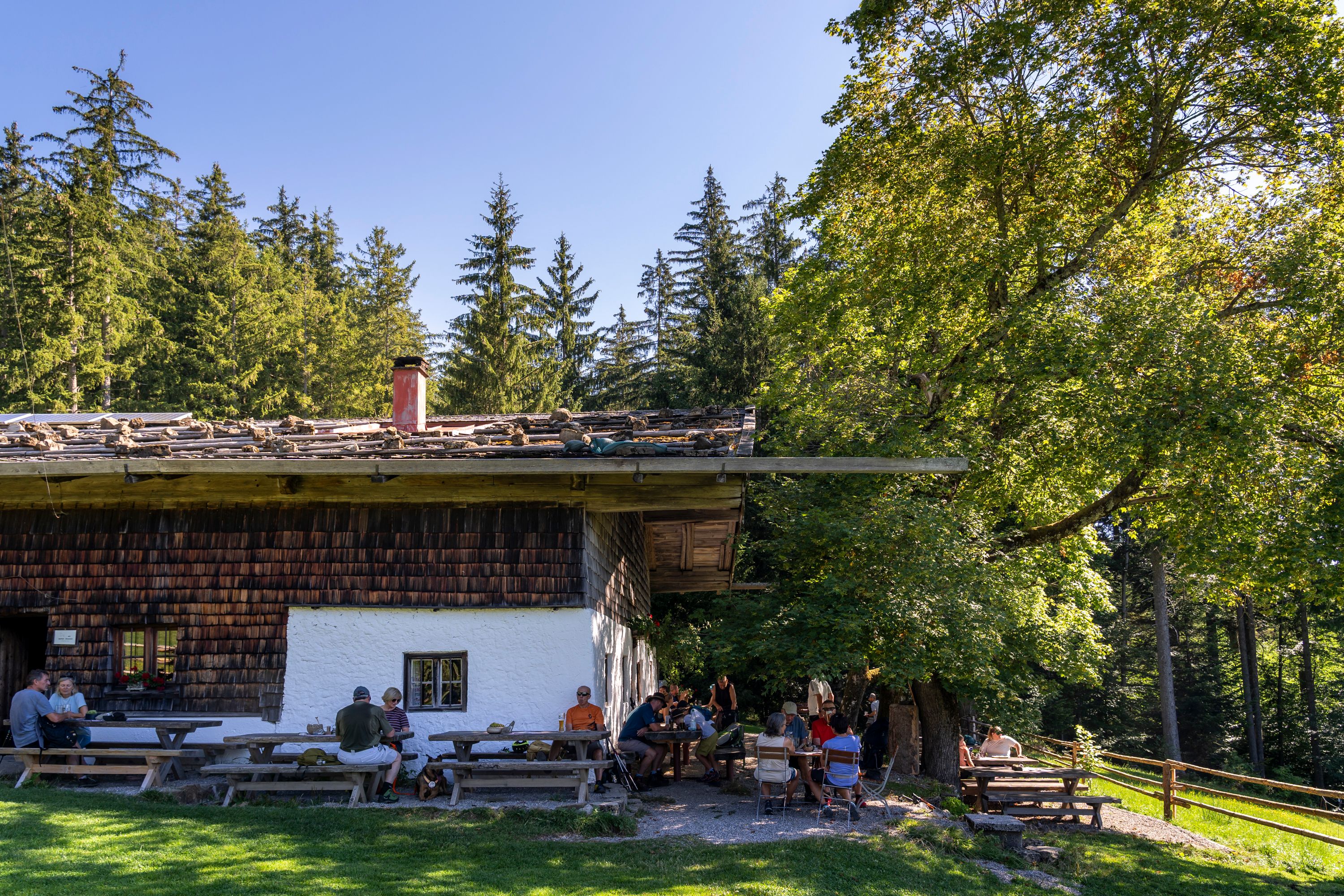 Viele Sitzplätze rund um die Bäckeralm