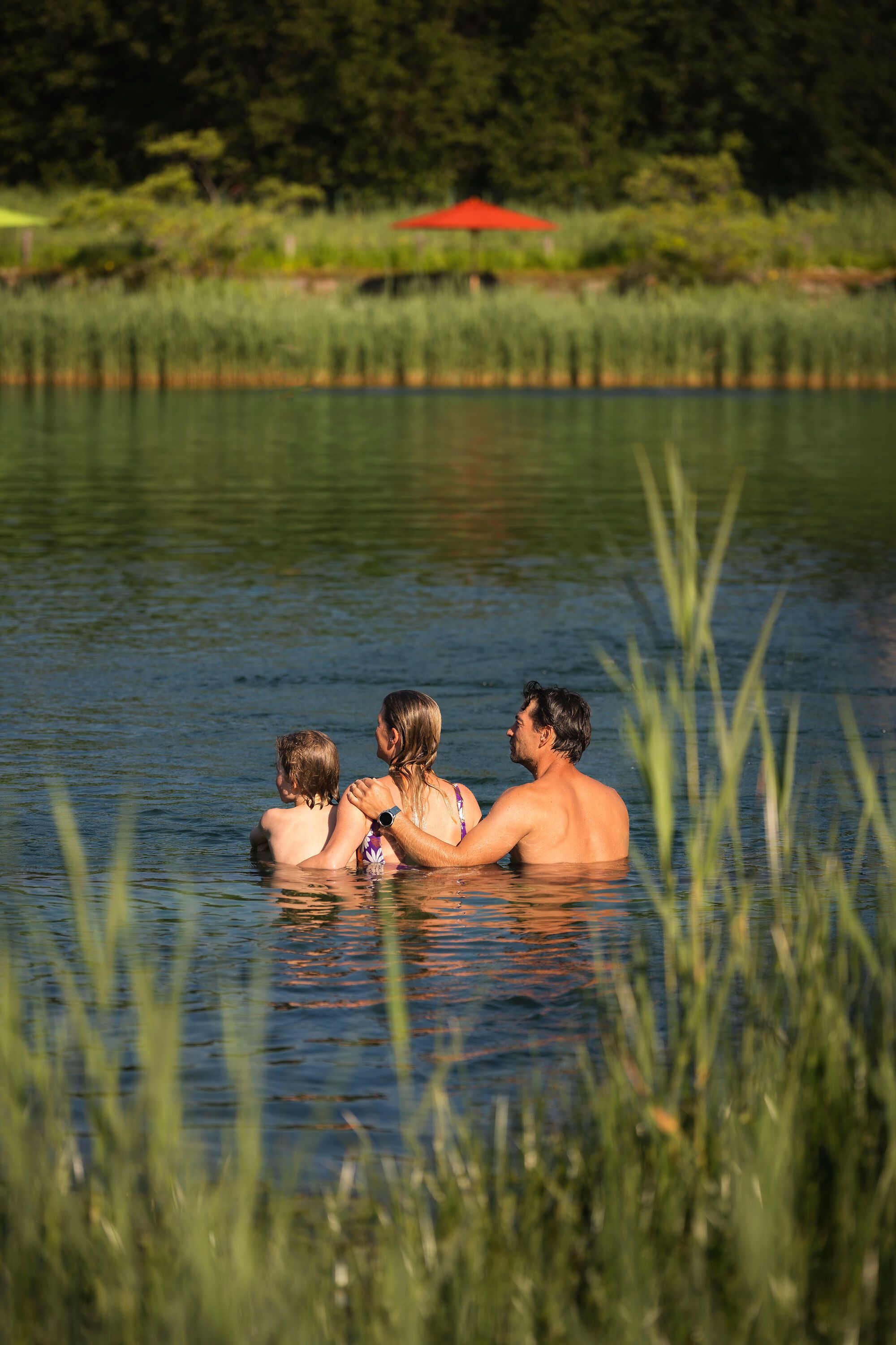 4.200 m² groß ist die Wasserfläche im Naturbad