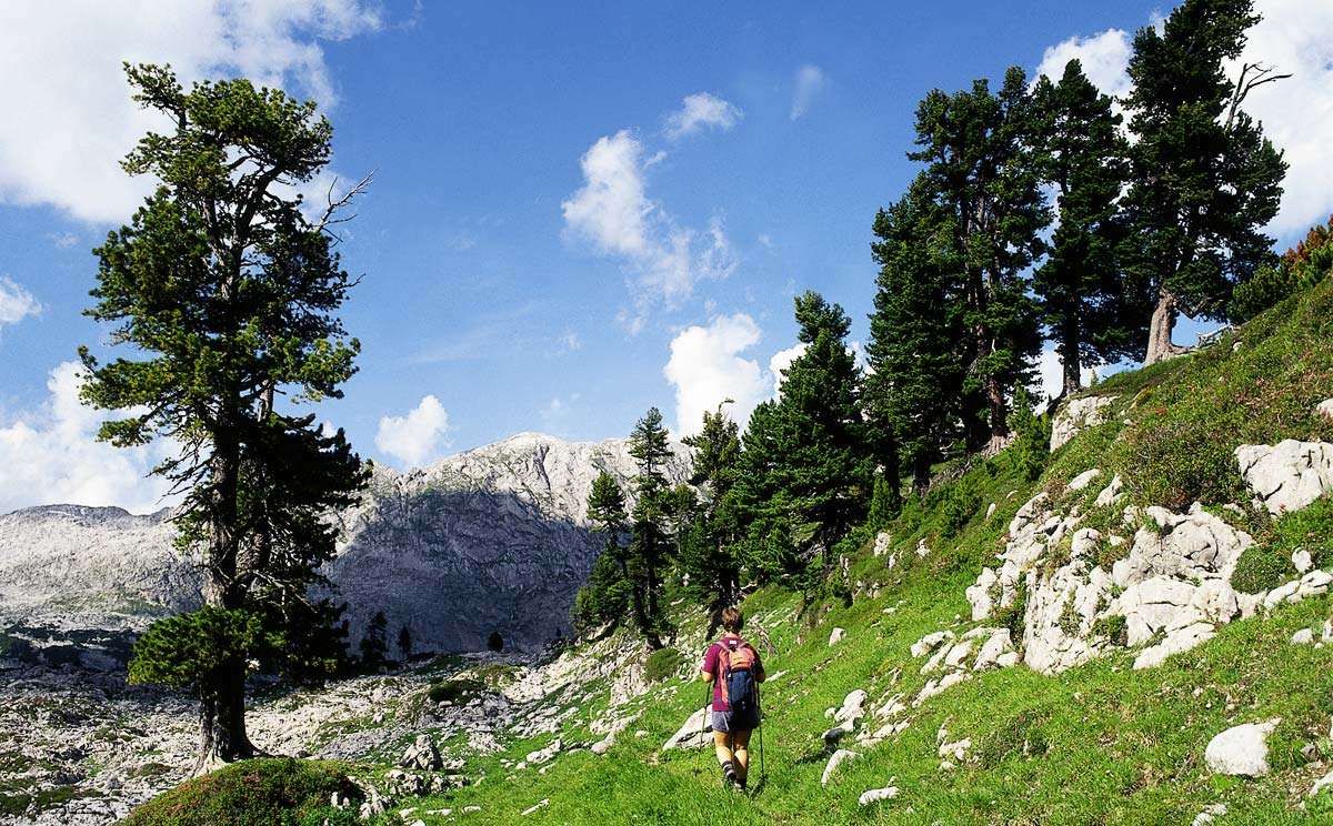 Wandern im Nationalpark Berchtesgaden