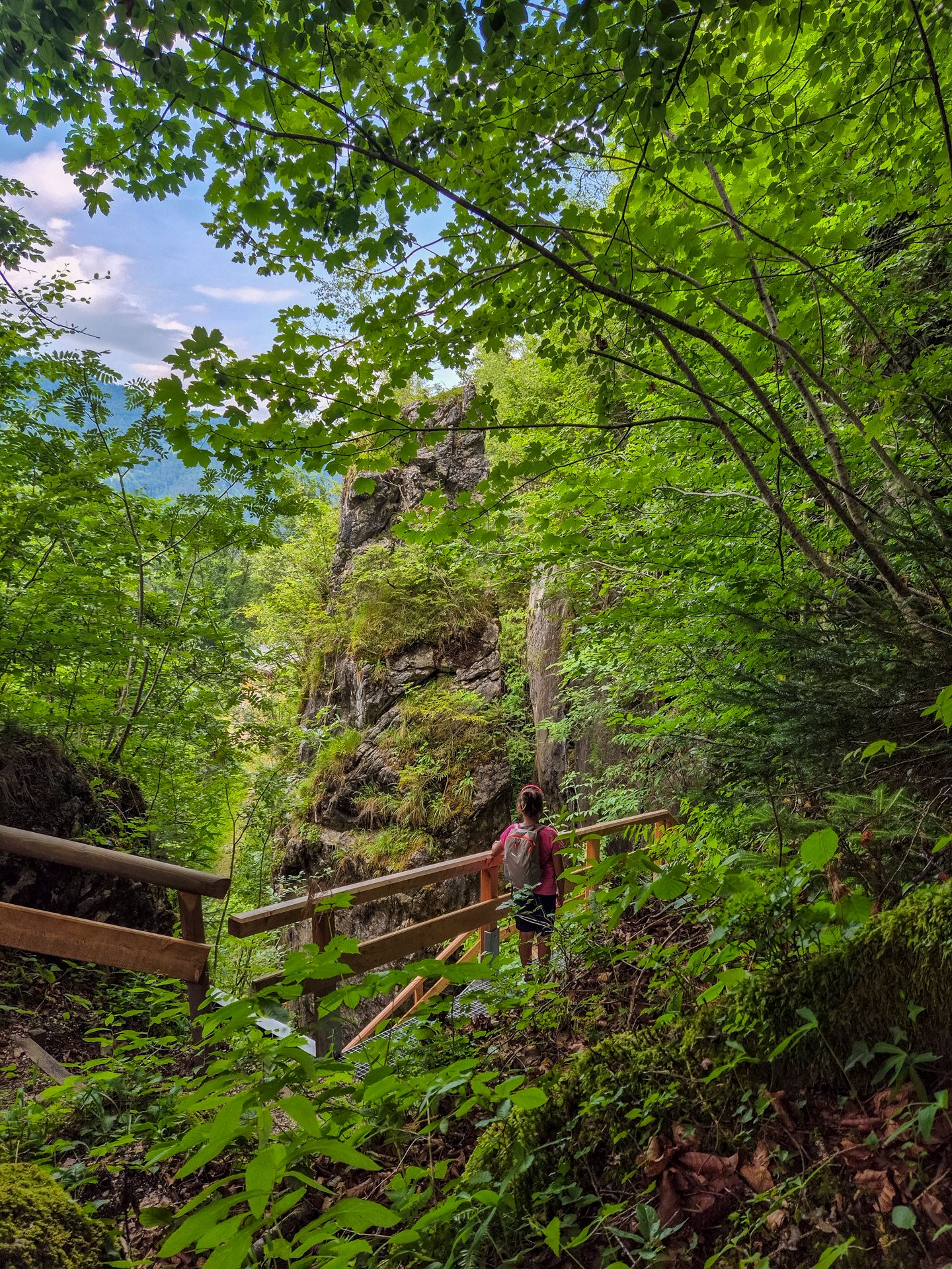 Wandersteig auf dem Obersalzberg