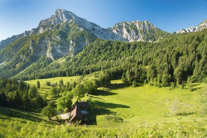 Steiner Alm mit Blick auf Staufenmassiv