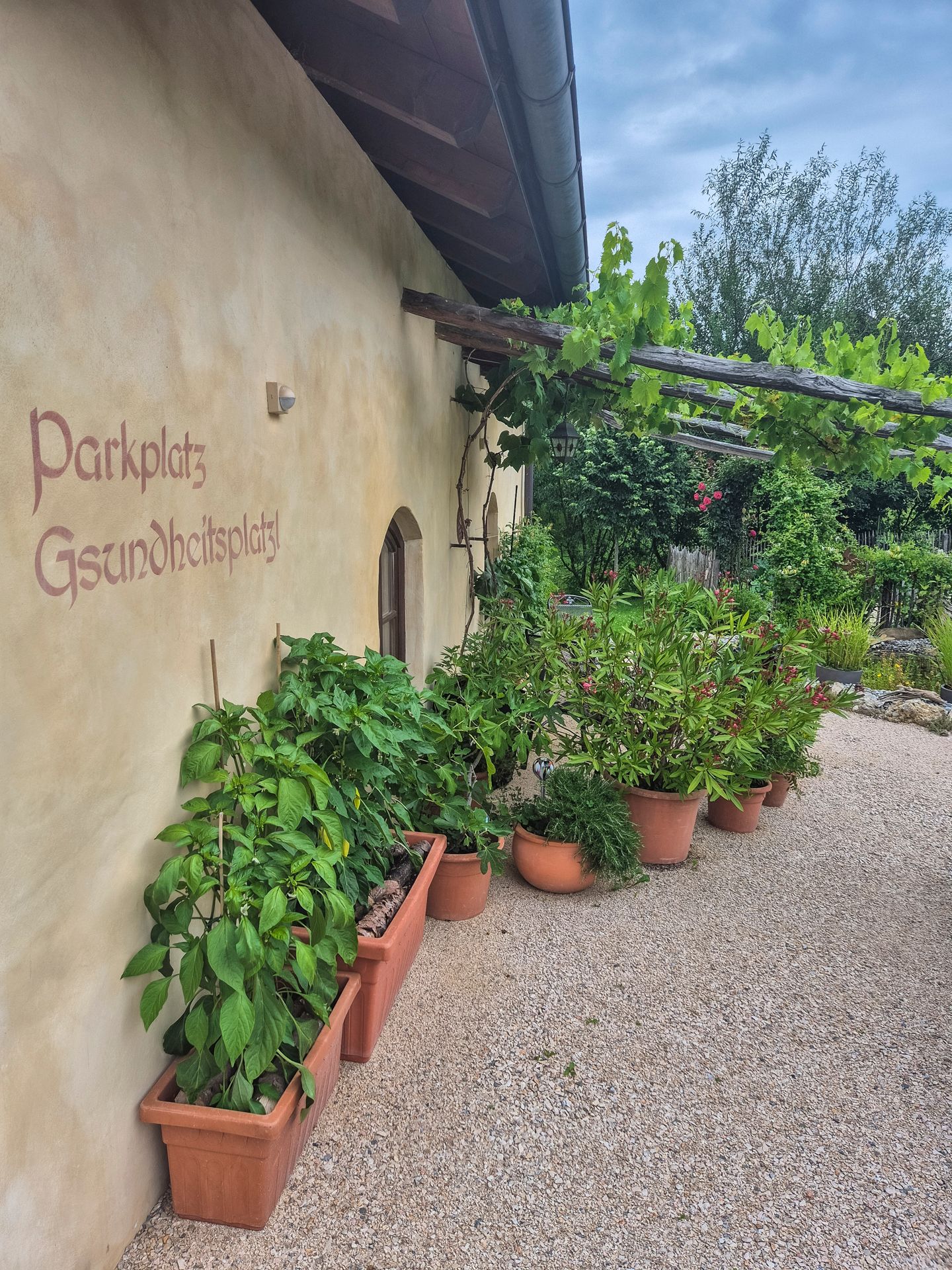 Parkplatz vor dem Gesundheitsgartl mit einer Pflanzen-Pergola