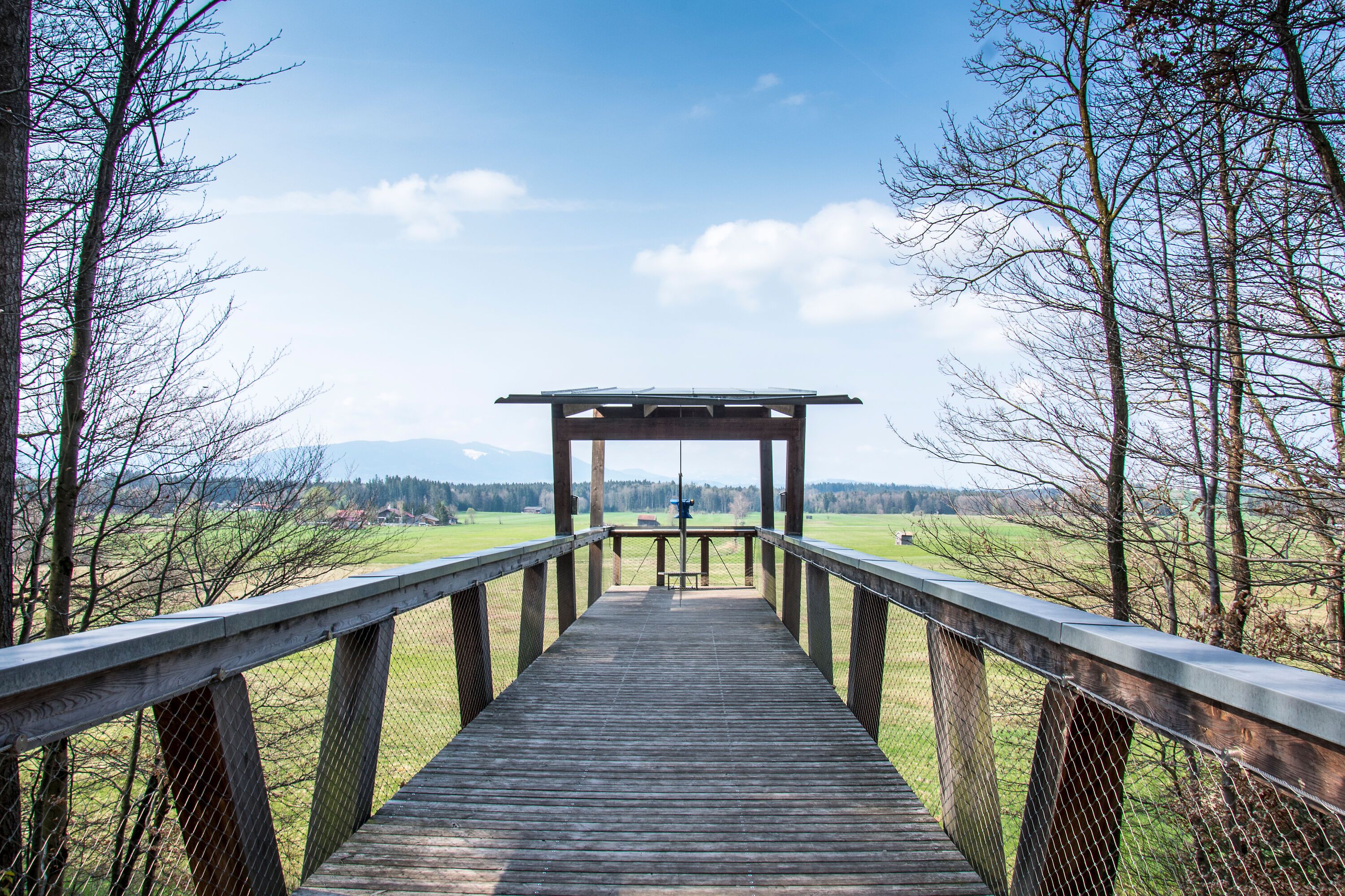 Besucherplattform Haarmoos am Abtsdorfer See