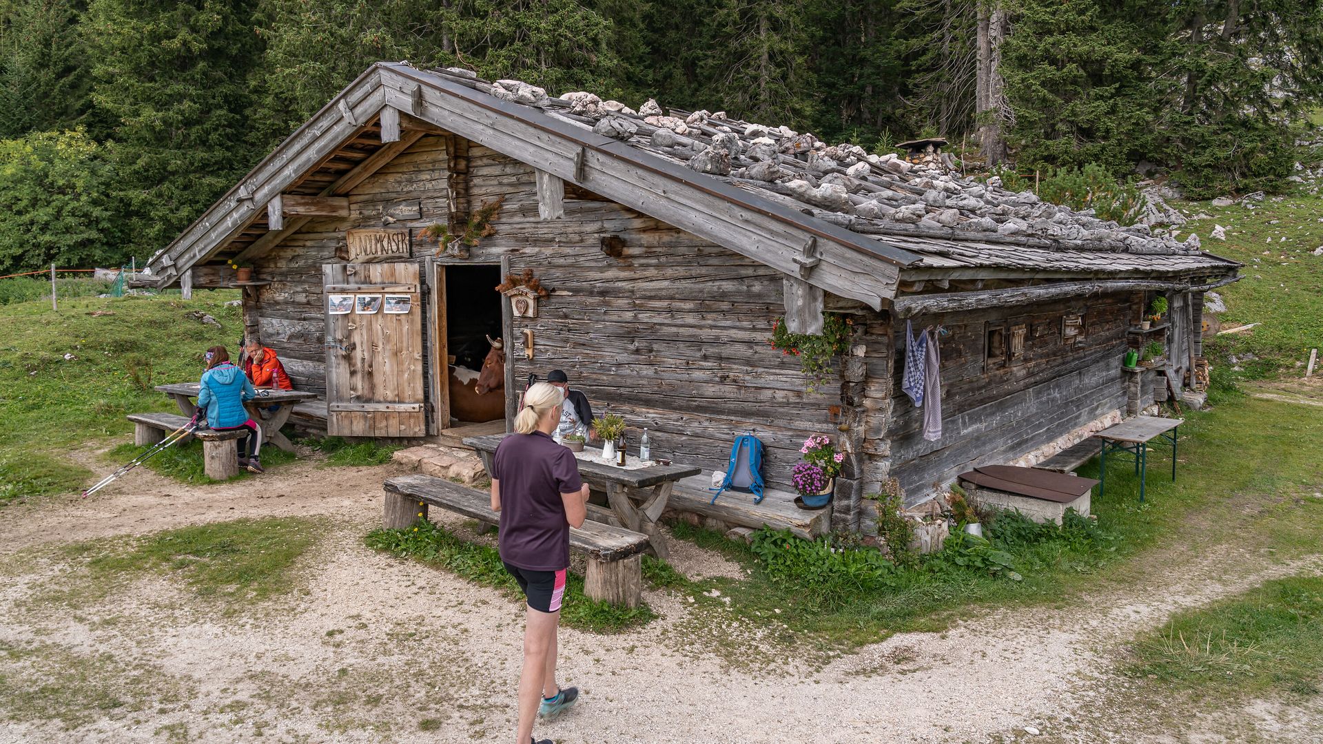 Moosenalm am Almerlebnisweg