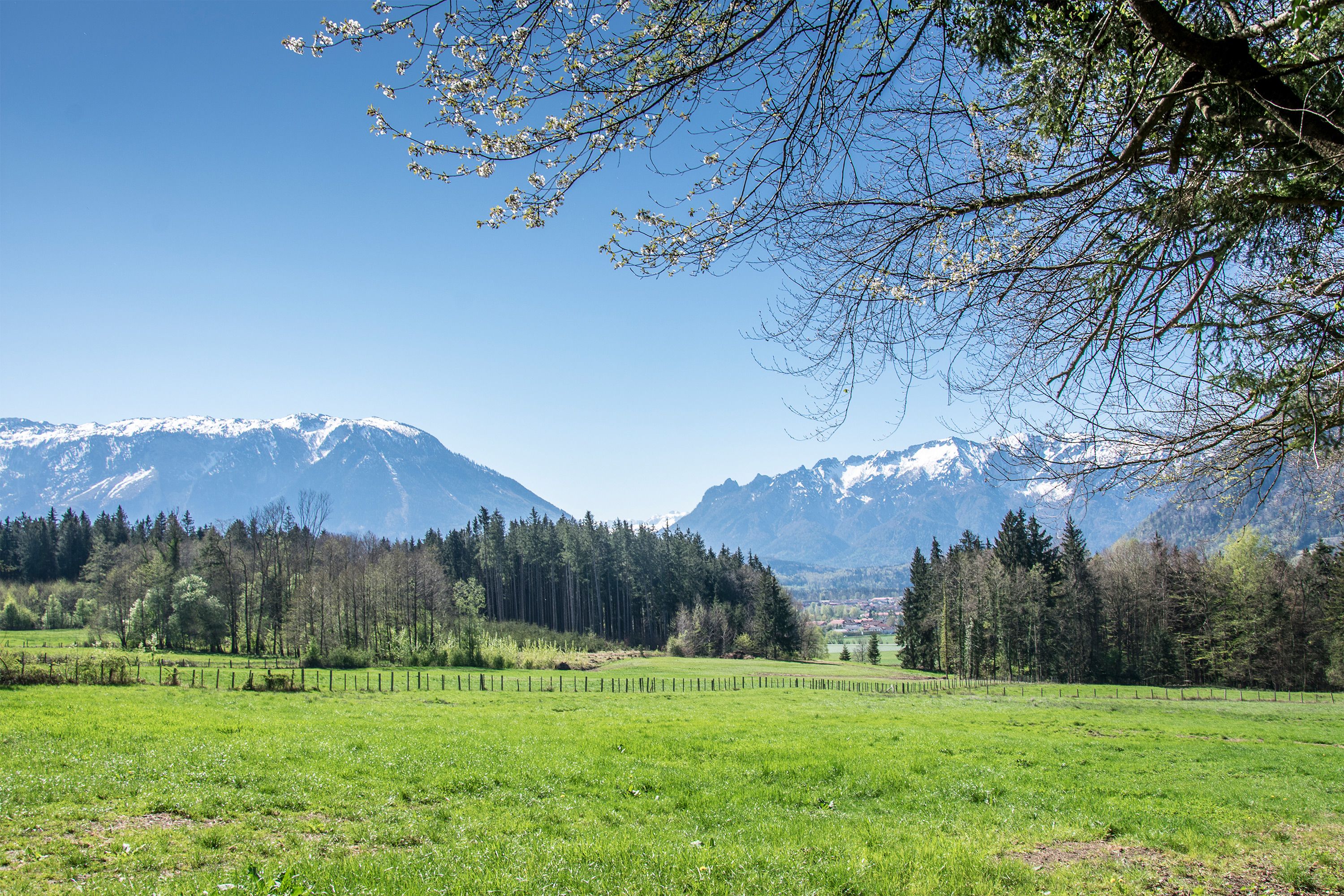 Untersberg und Lattengebirge
