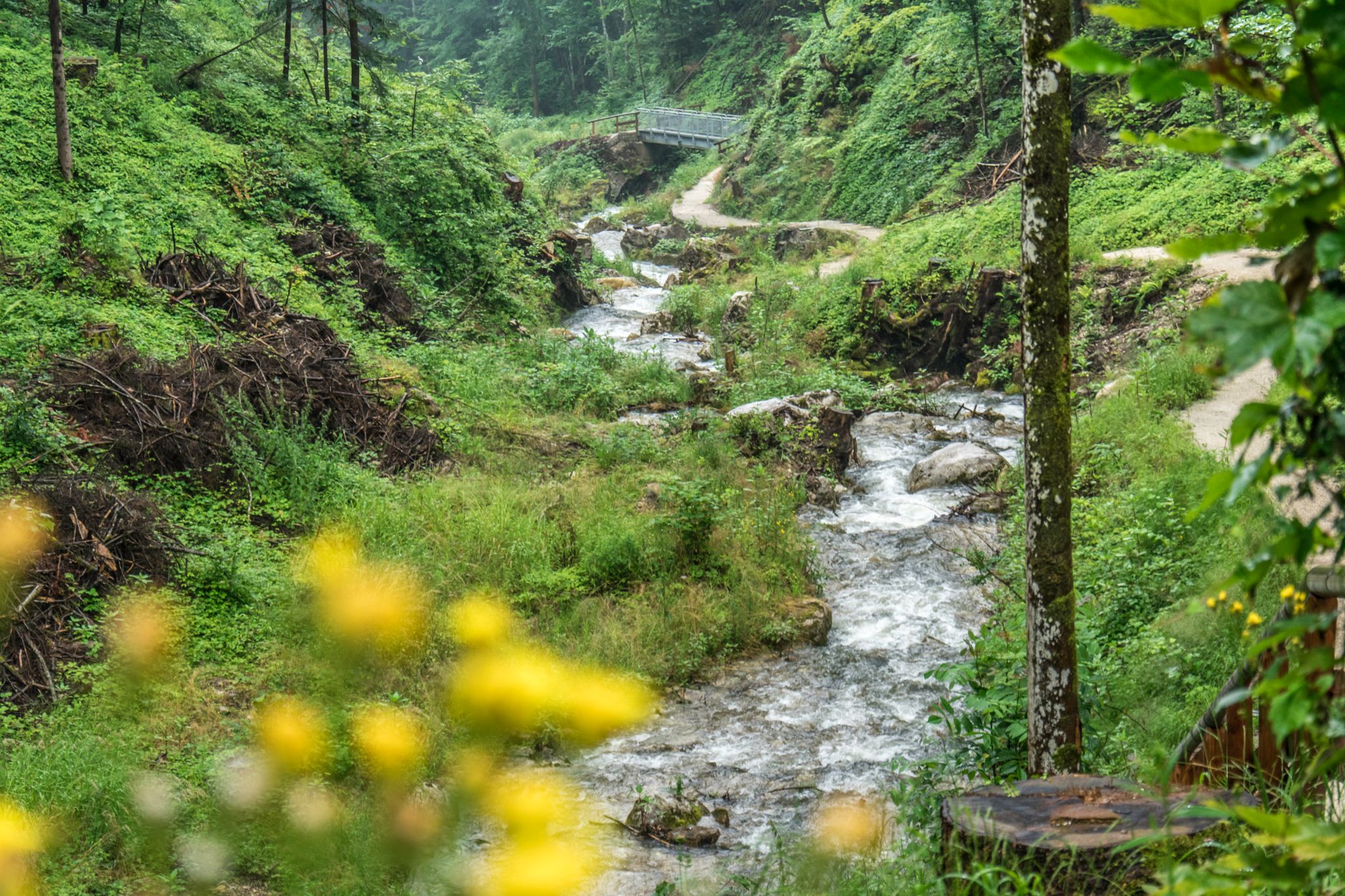 In der Gerer Klamm