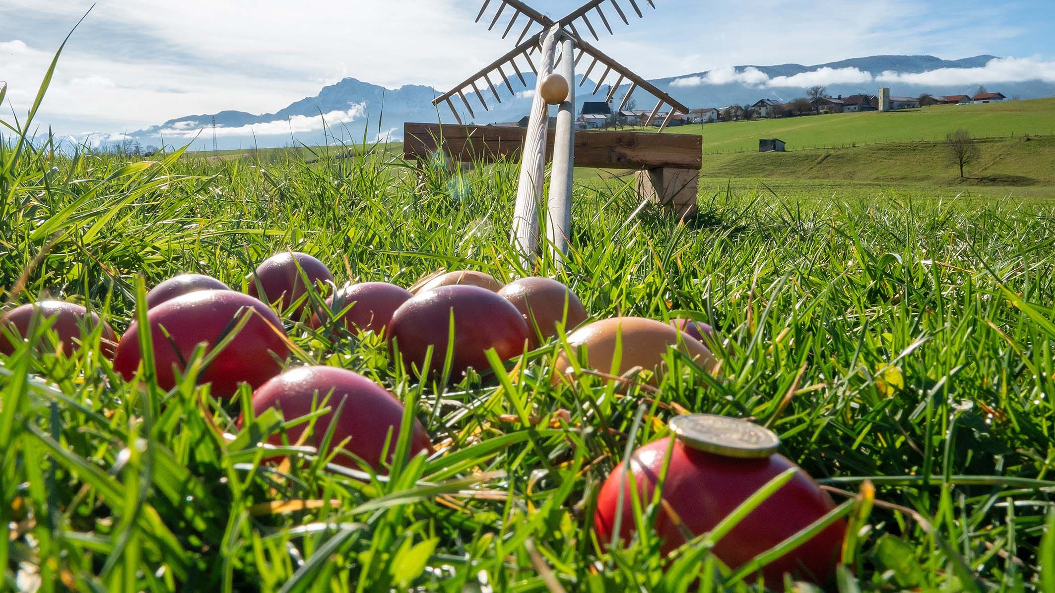 Eier werden über den Rechen gerollt.