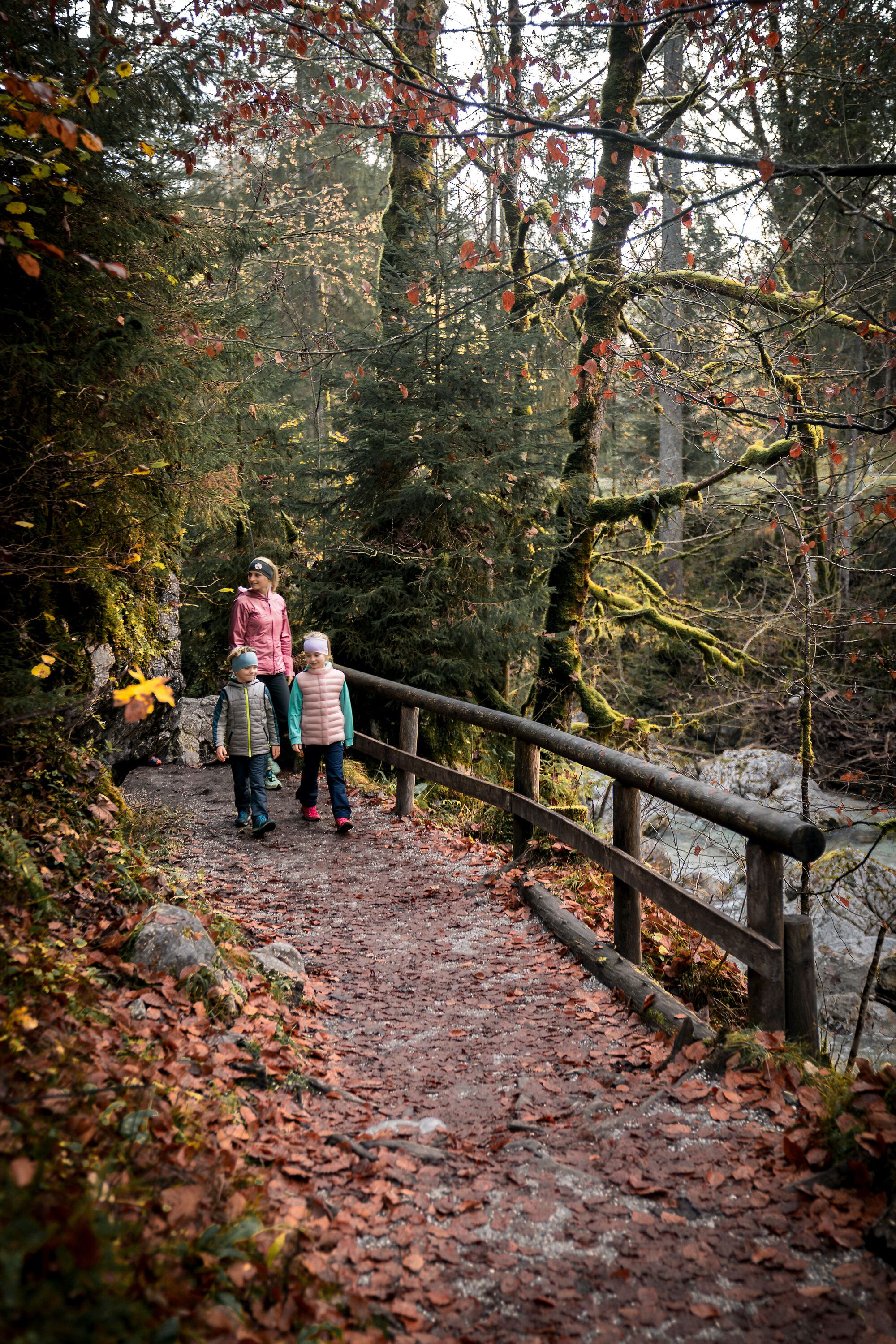 Herbst im Zauberwald 