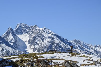 Frühling auf der Mordaualm