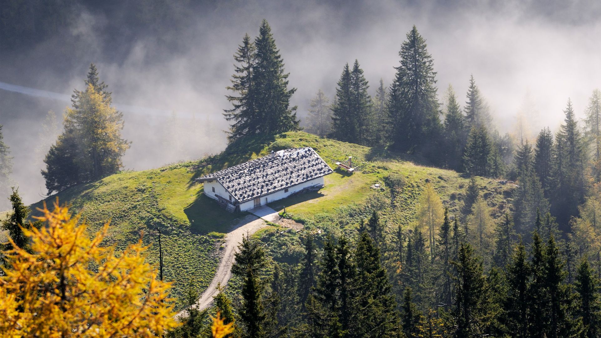 Blick vom Jenner zum Sulzbergkaser im darunterliegenden Nebelmeer