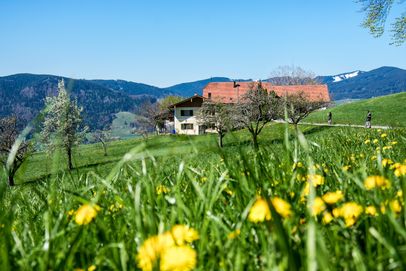 Frühling an der Stroblalm