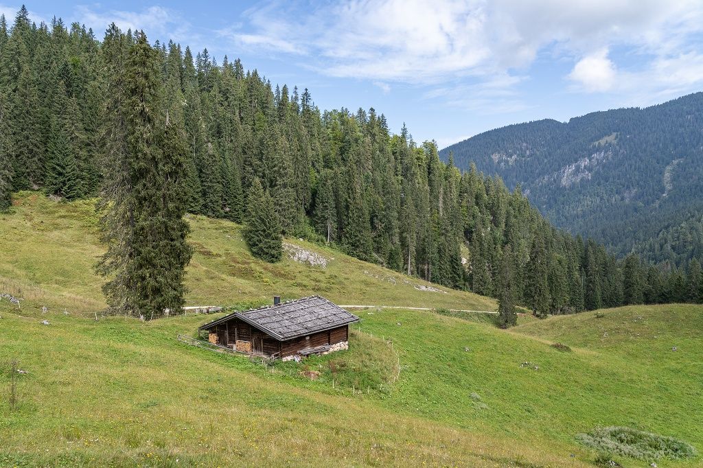 Die Dalsenalm am Weg zur Moosenalm