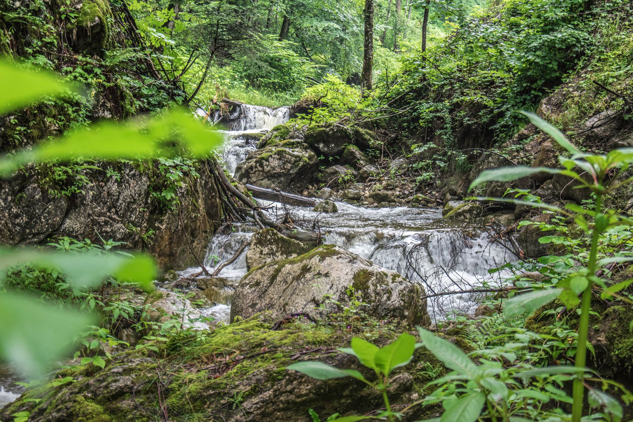 In der Gerer Klamm