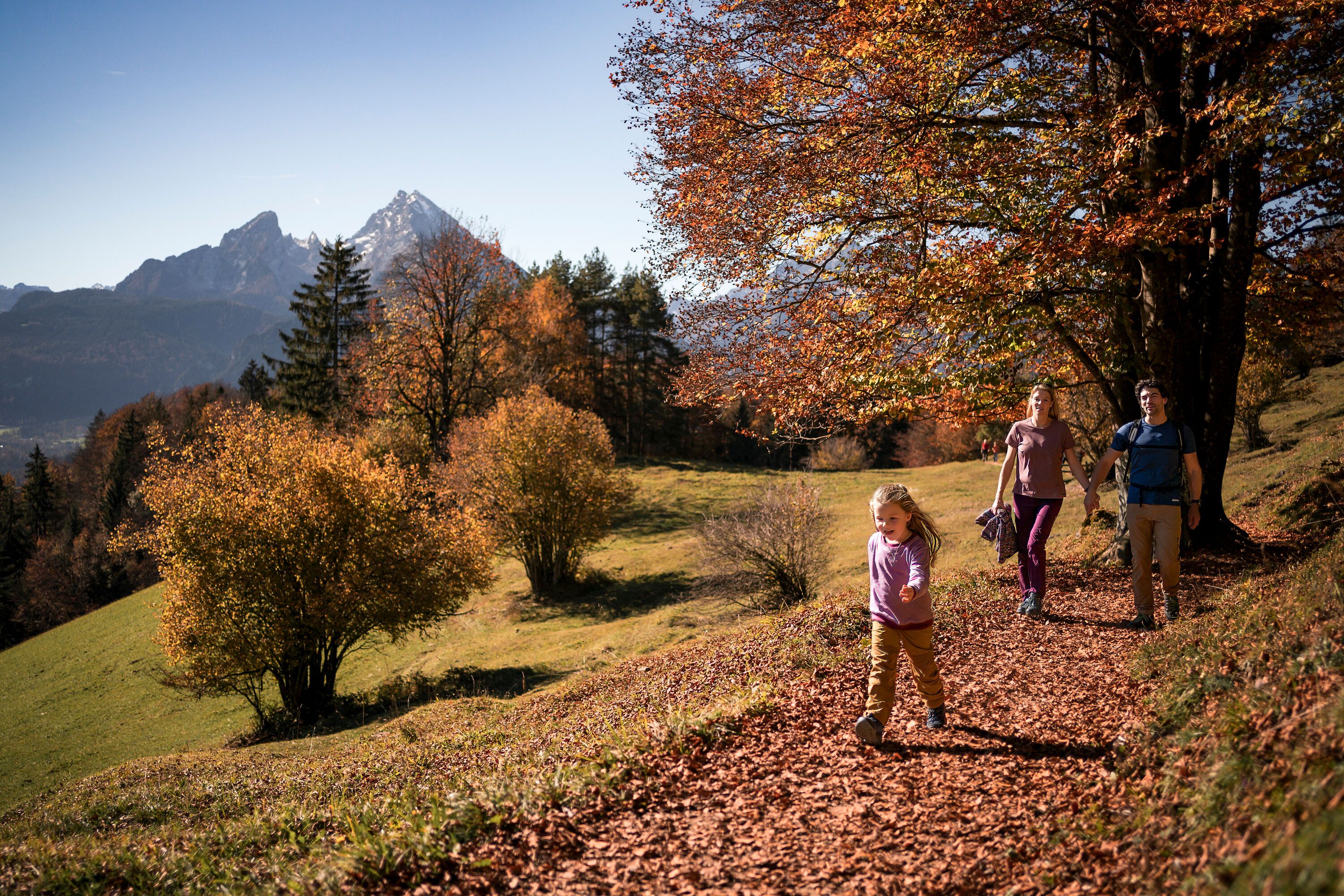 Von der Marxenhöhe zur Kneifelspitze