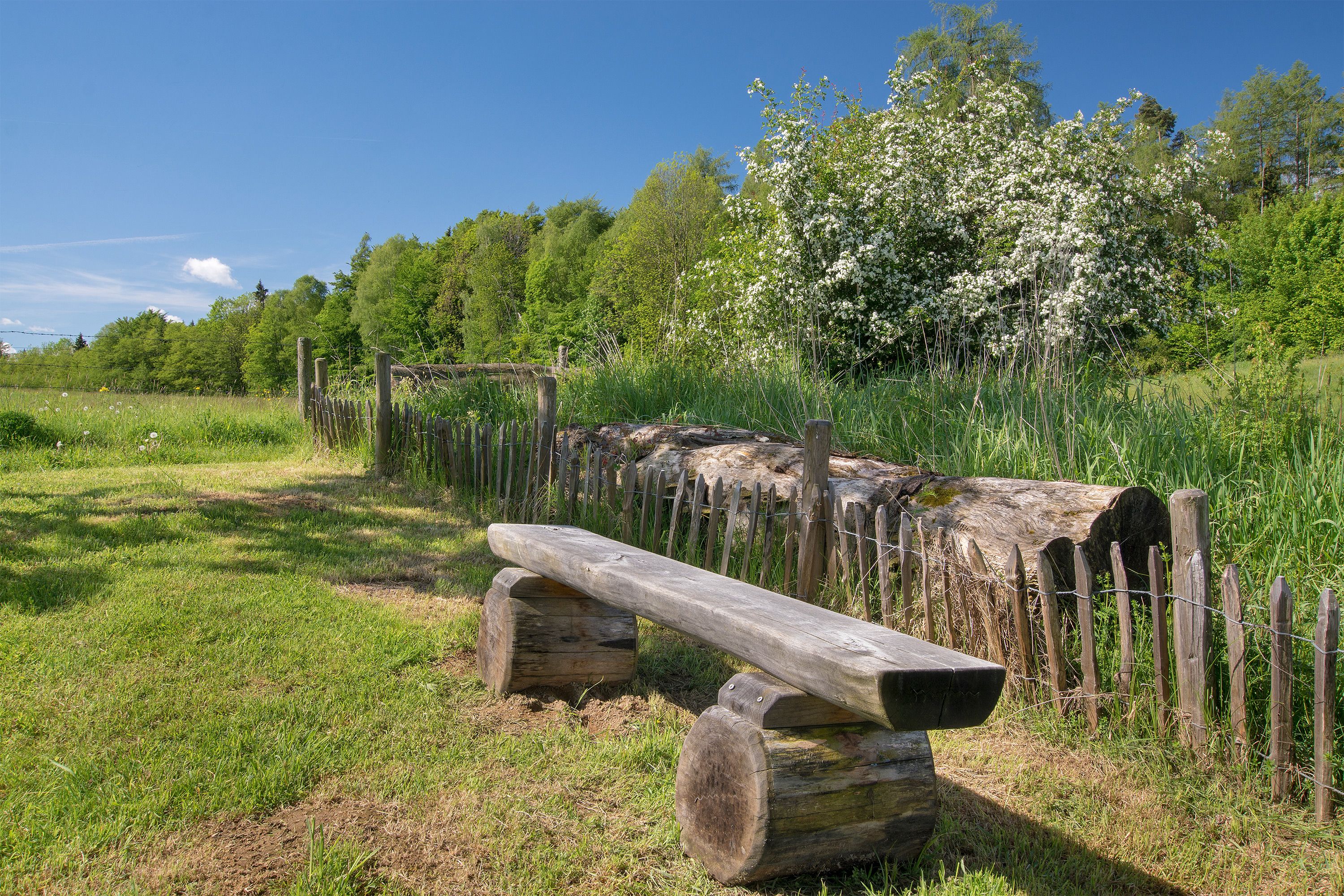 Bank am Pidinger Bienenweg