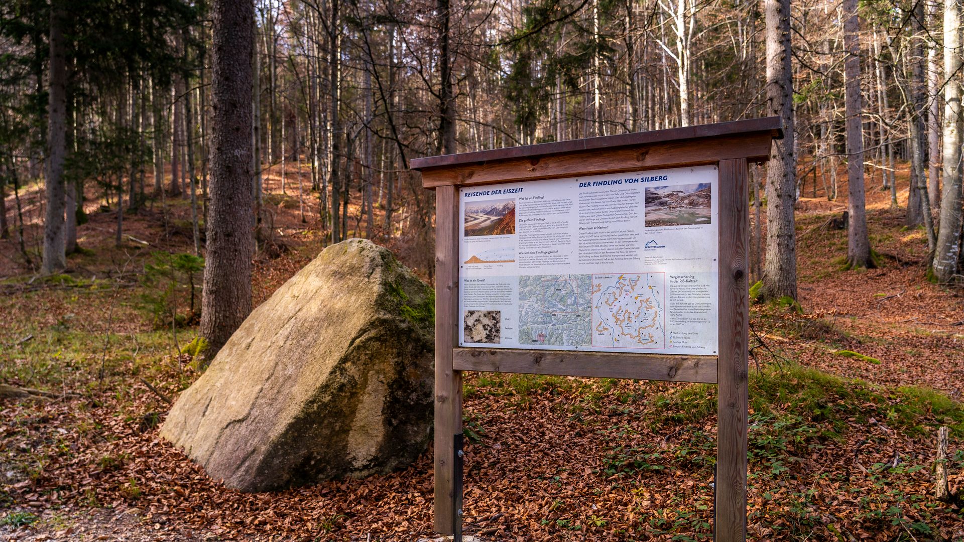 Der Gneis-Findling vom Silberg