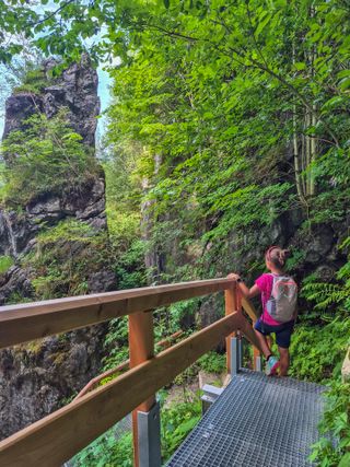 Wanderweg auf dem Oberslazberg