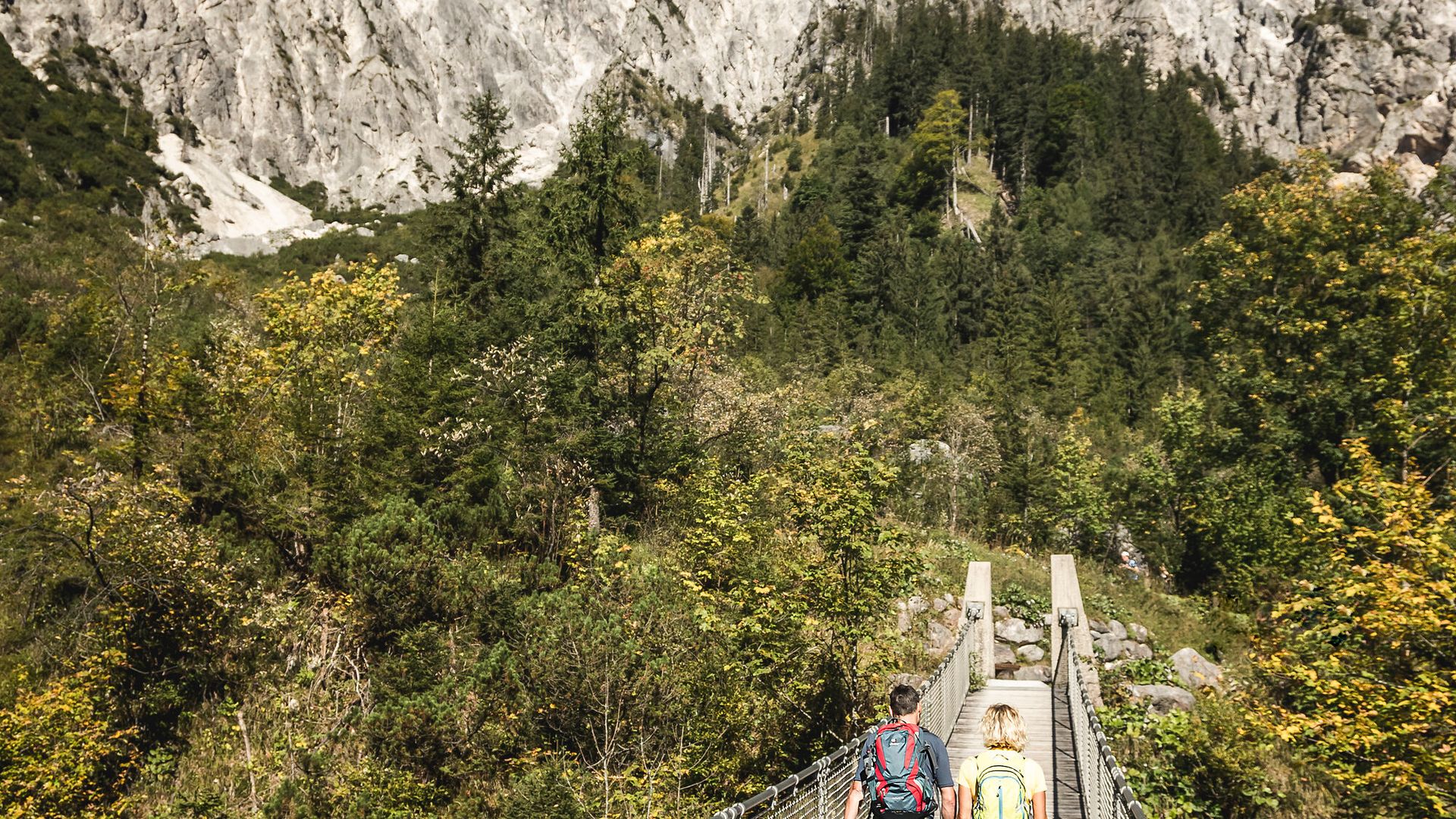 Die Hängebrücke im Klausbachtal