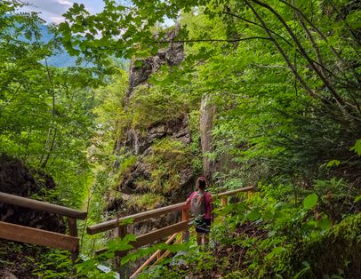 Wandersteig auf dem Obersalzberg zum Kalten Keller