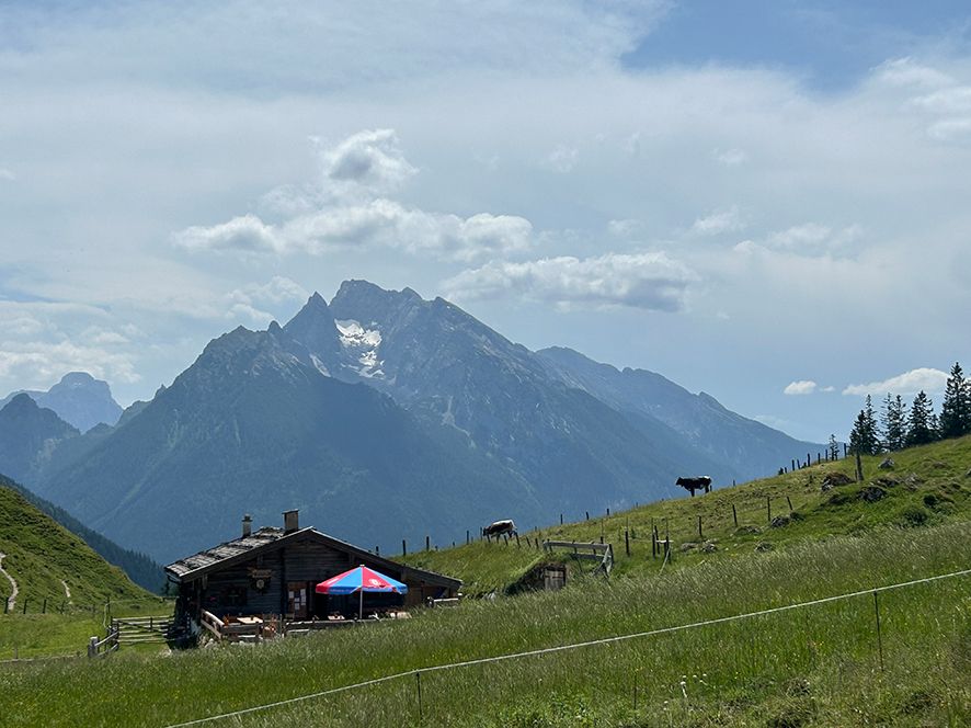 Sicht von der Mordaualm auf den Blaueisgletscher