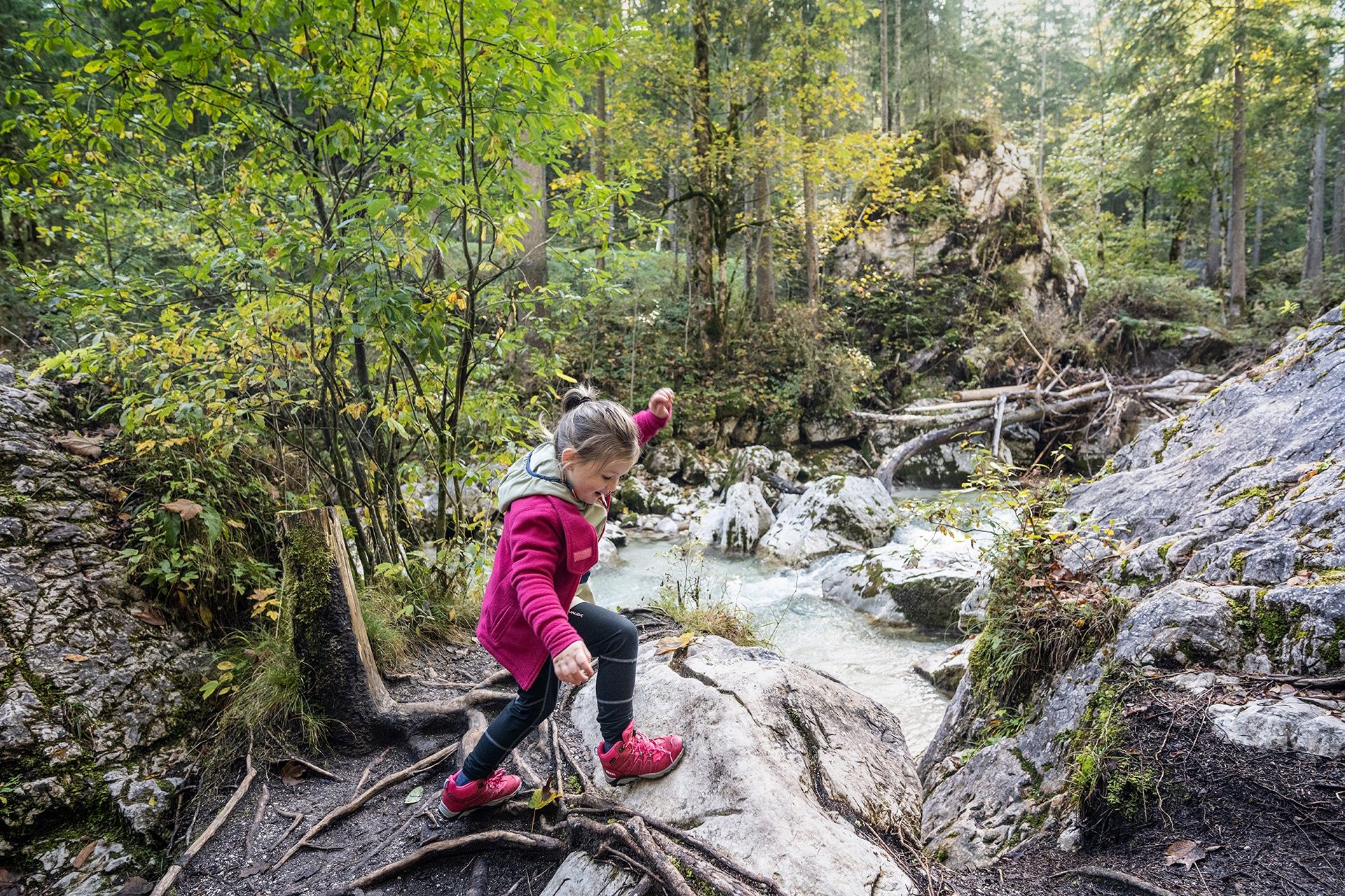 Ein Paradies für Kinder: Der Zauberwald