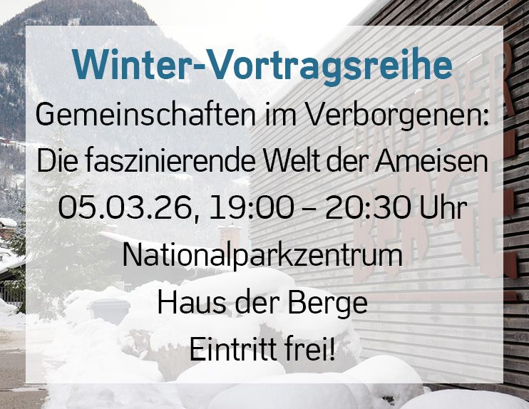 Bild zu Winter-Vortragsreihe: «Gemeinschaften im Verborgenen»