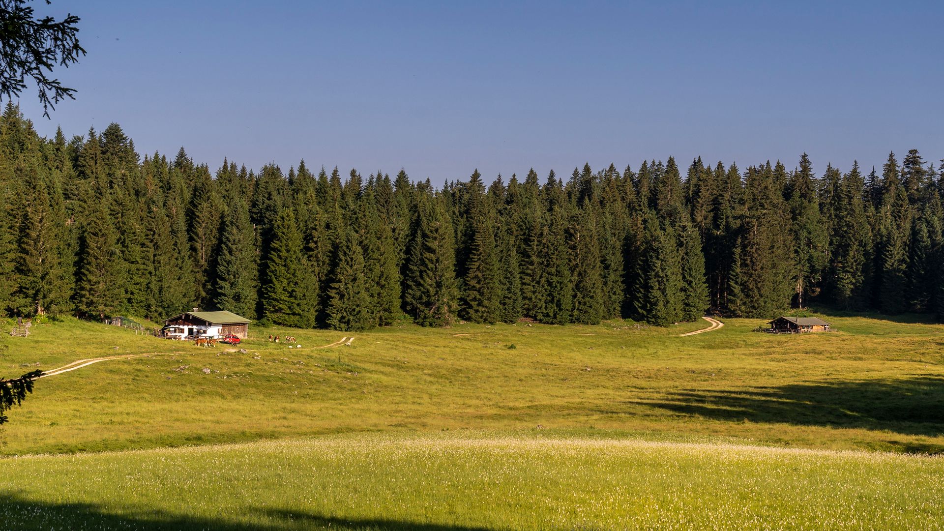 Zwei Kaser auf der Anthauptenalm