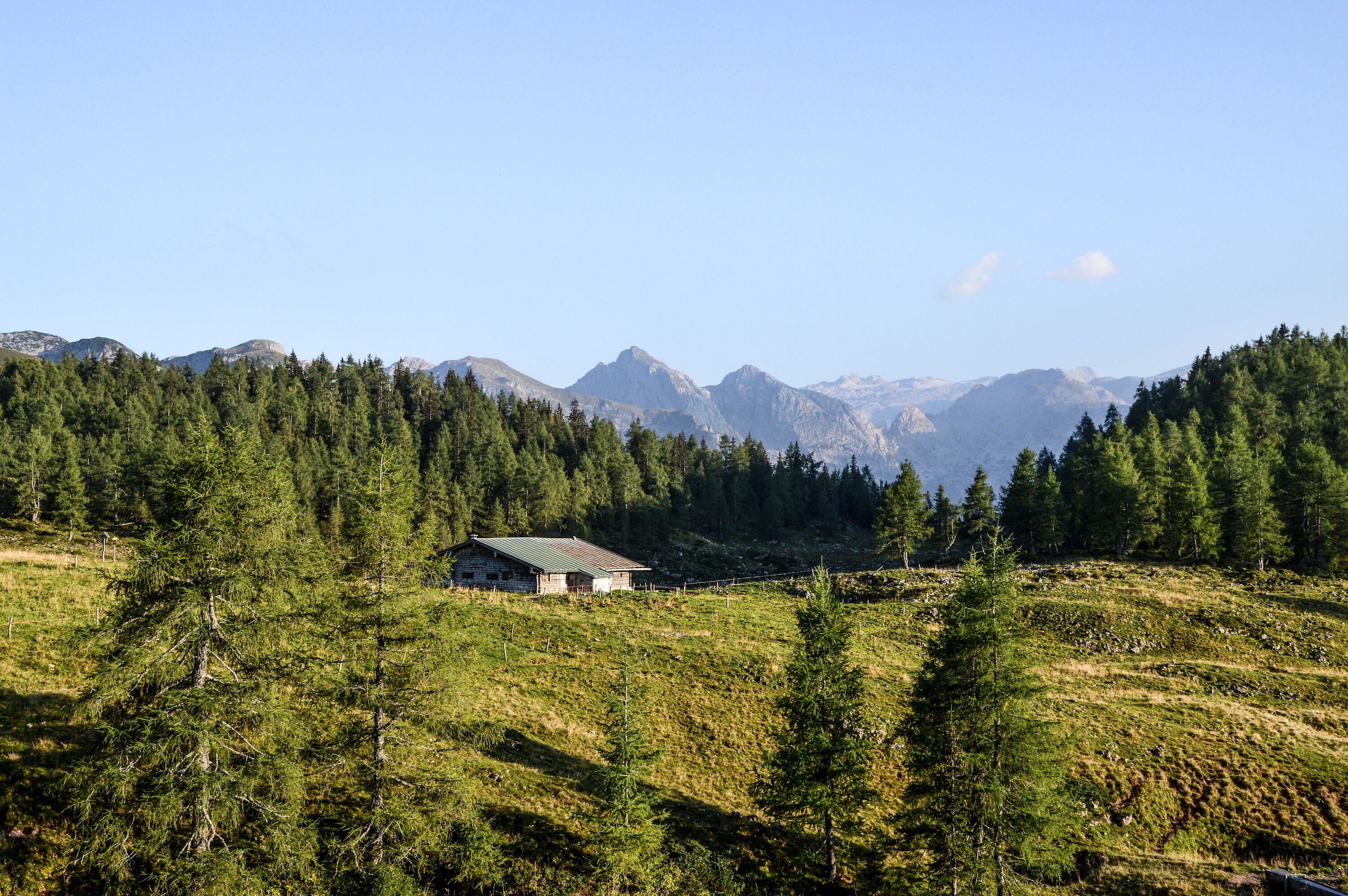 Blick von der Gotzenalm zu den Teufelshörnern und Hochkönig