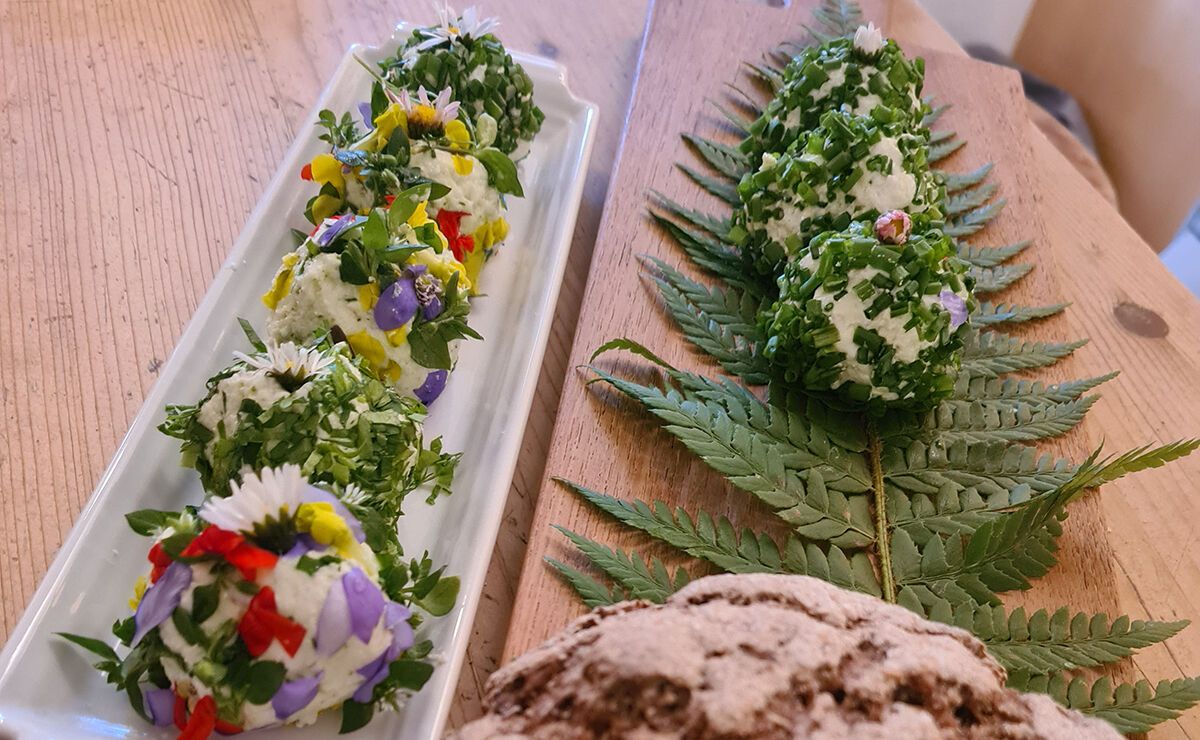 Frischkäsebällchen