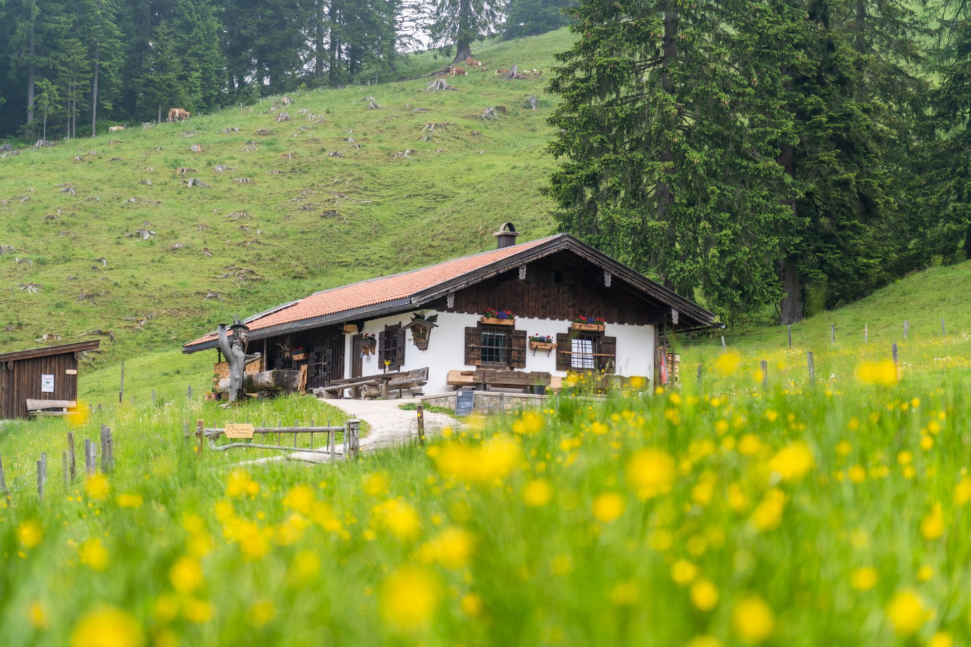 Der Perlerkaser auf der unteren Ahornalm