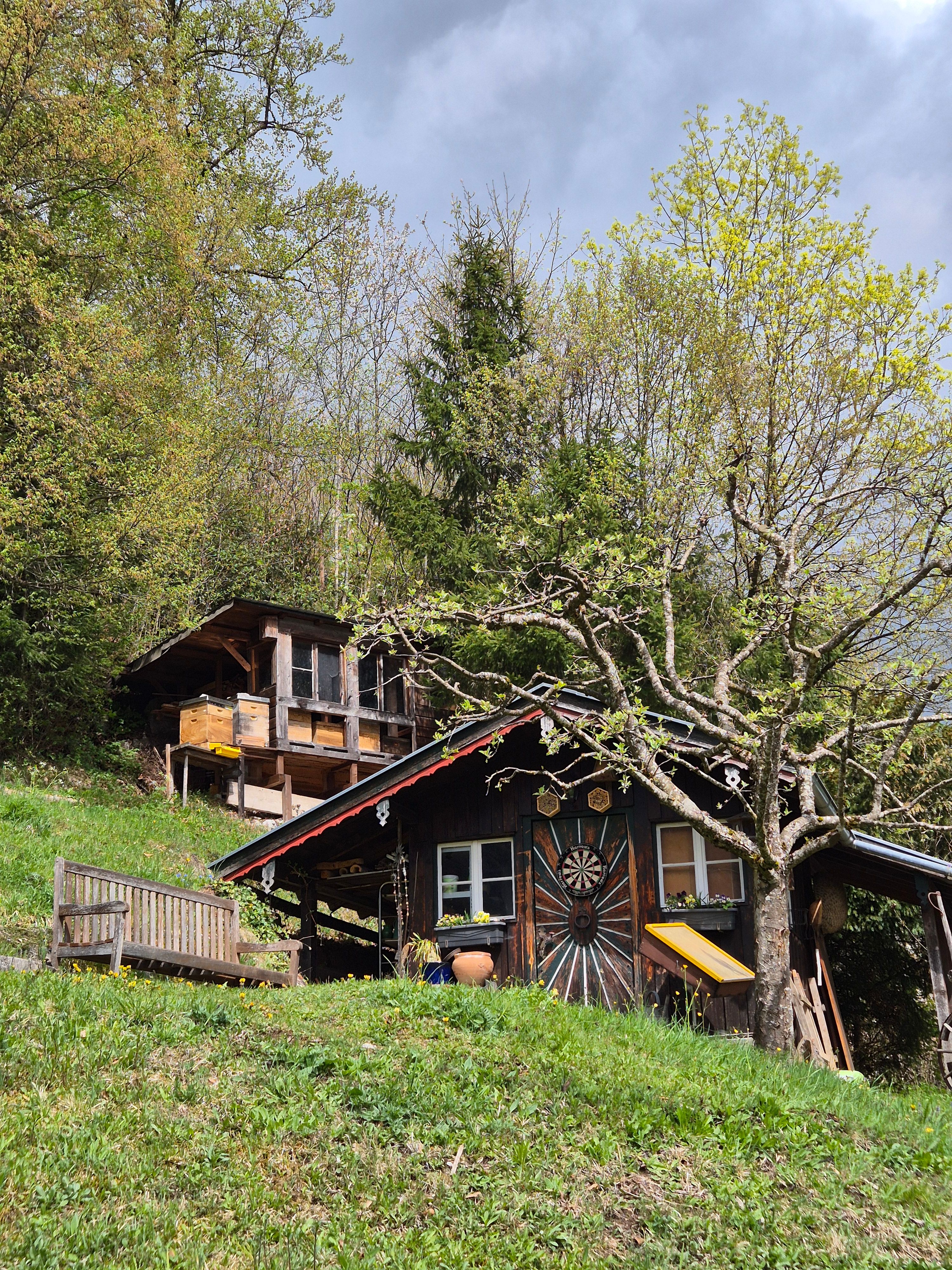 In Evi Hajek's Garten