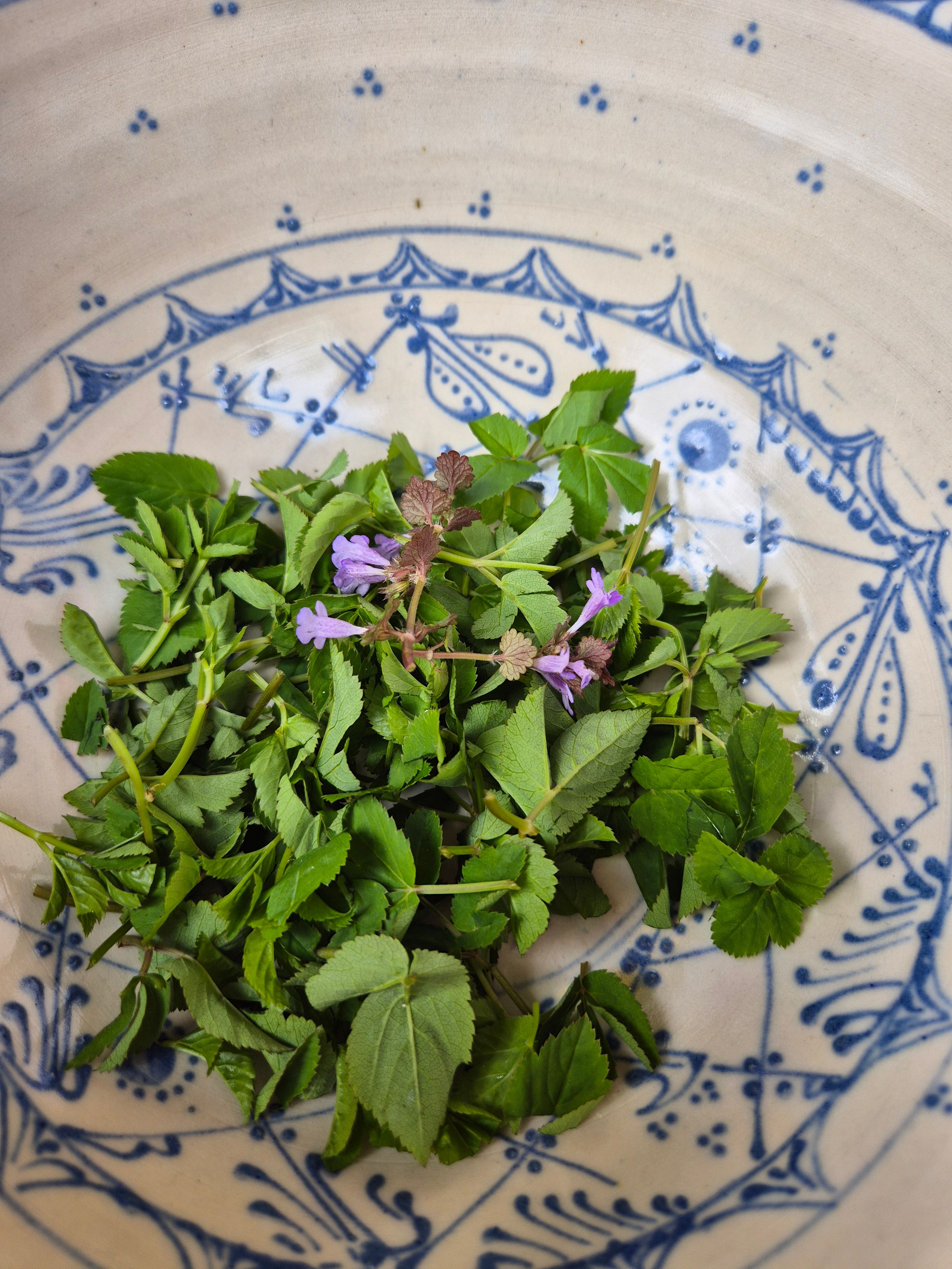 Kräuter