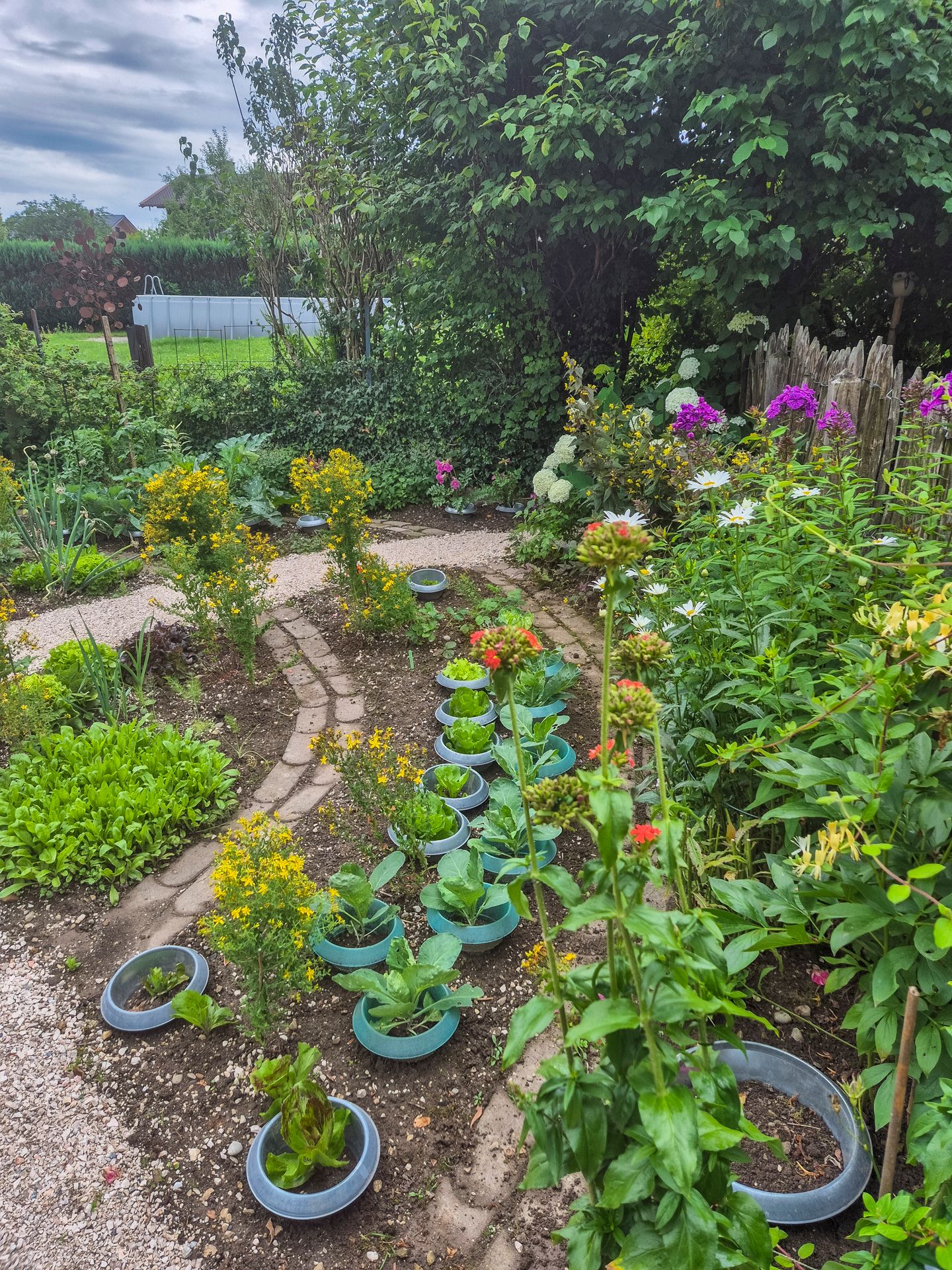 Pflanzen und Kräuter im Gesundheitsgartl