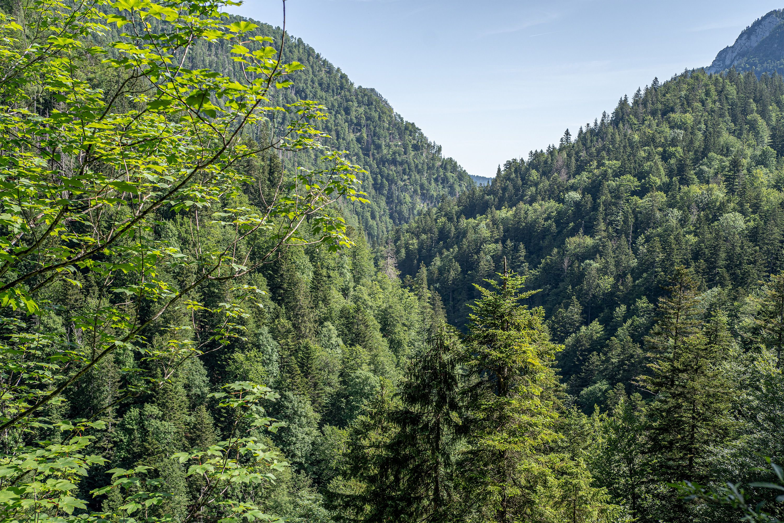 Blick über die Schwarzachenklamm