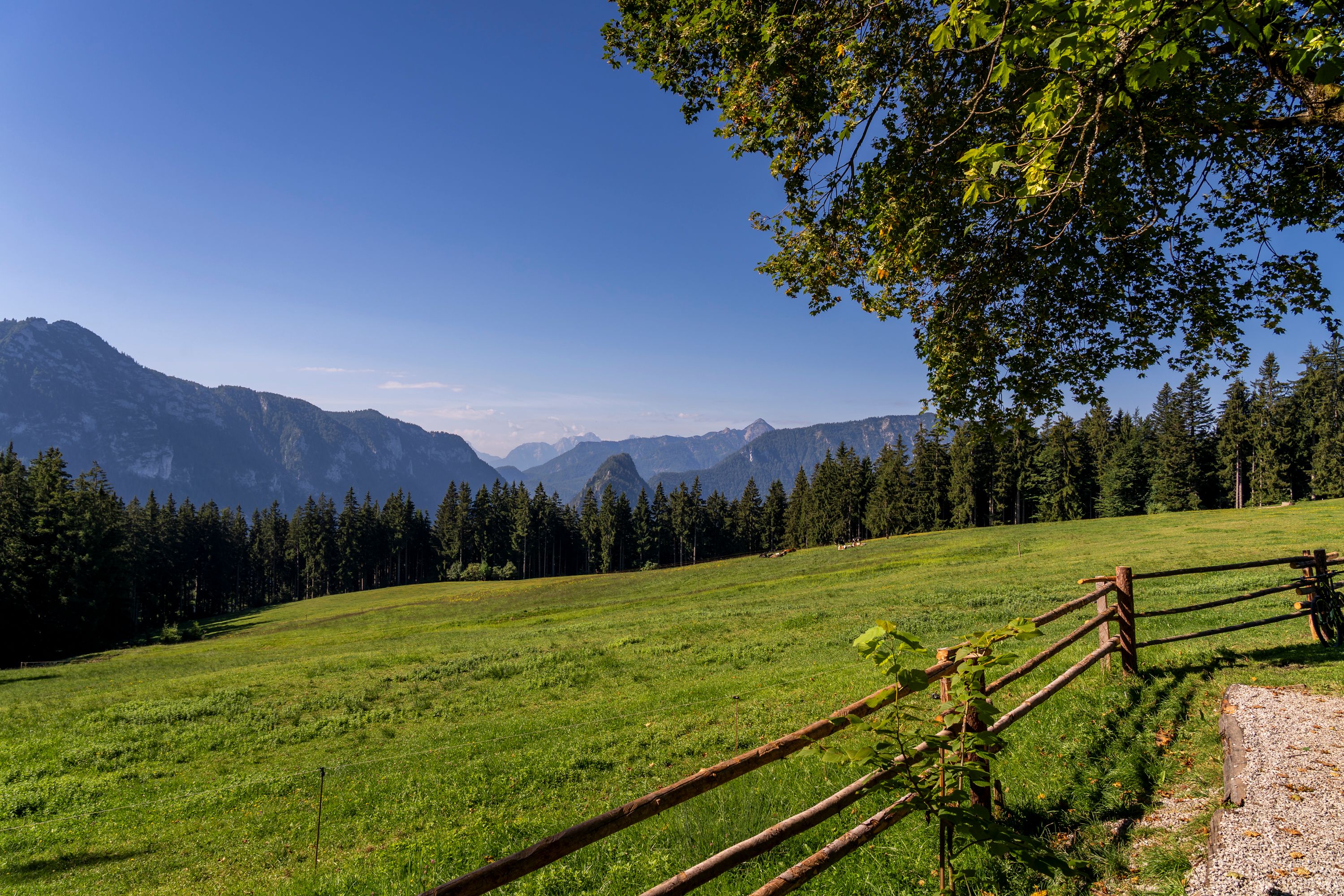 Aussicht von der Bäckeralm nach Inzell