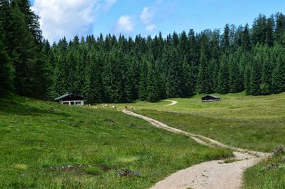 Fahrplan Almerlebnisbus 2025