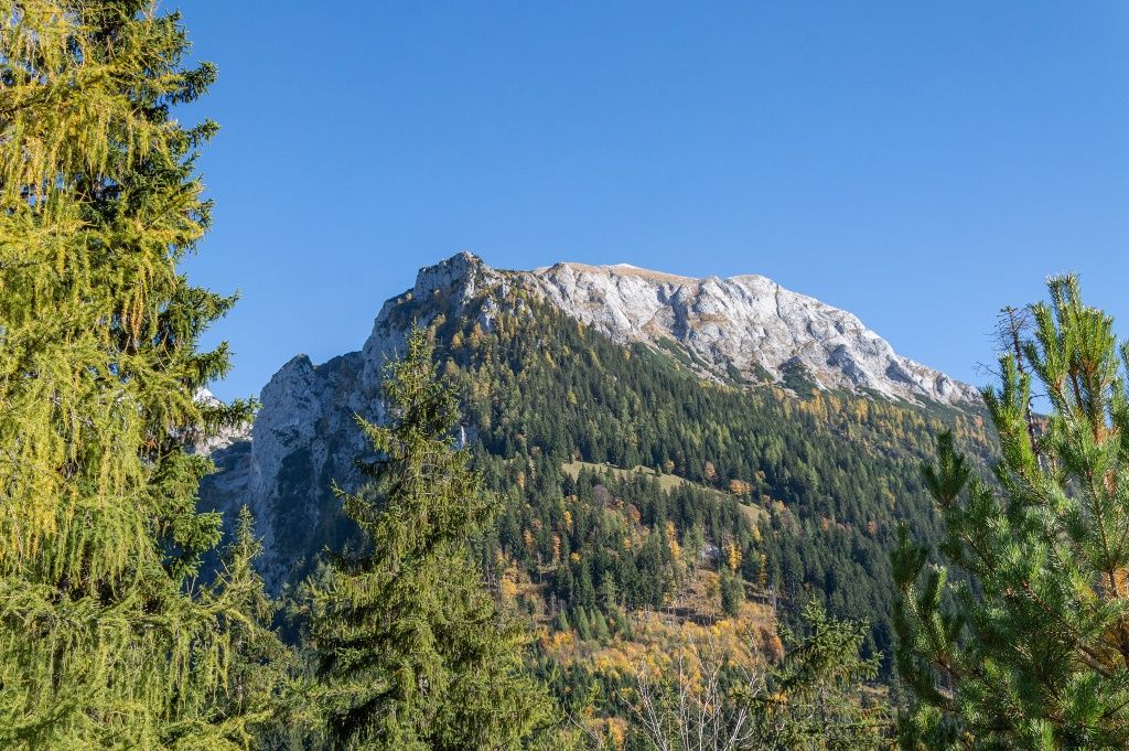 Blick zum Hohen Brett