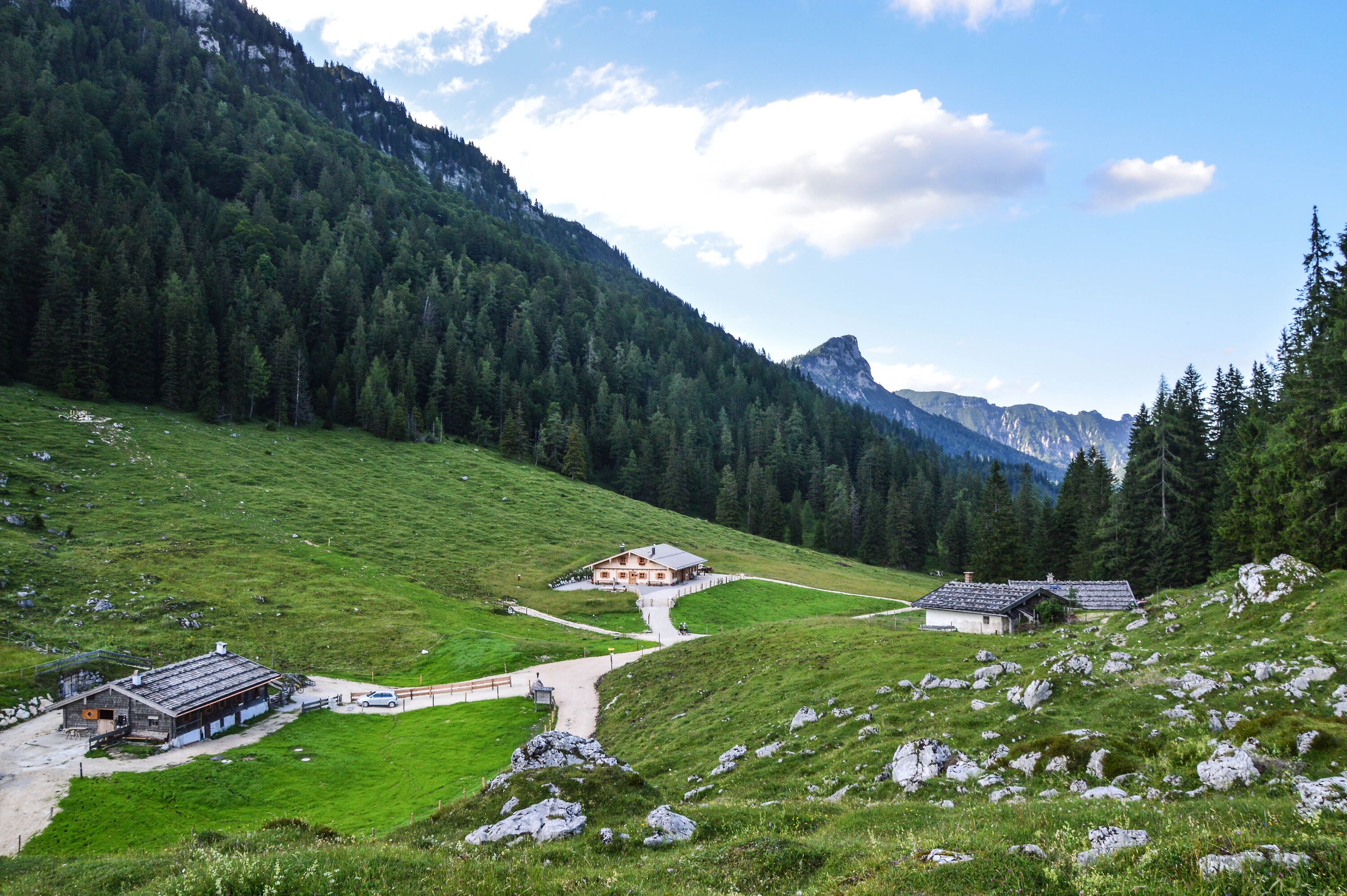 Die Mordaualm, im Hintergrund swe Törlkopf