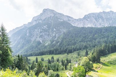 Blick über die Steiner Alm zum Hochstaufen