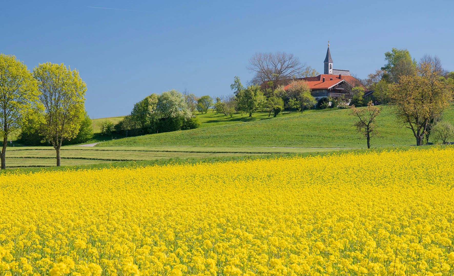 Blick auf Steinhögl