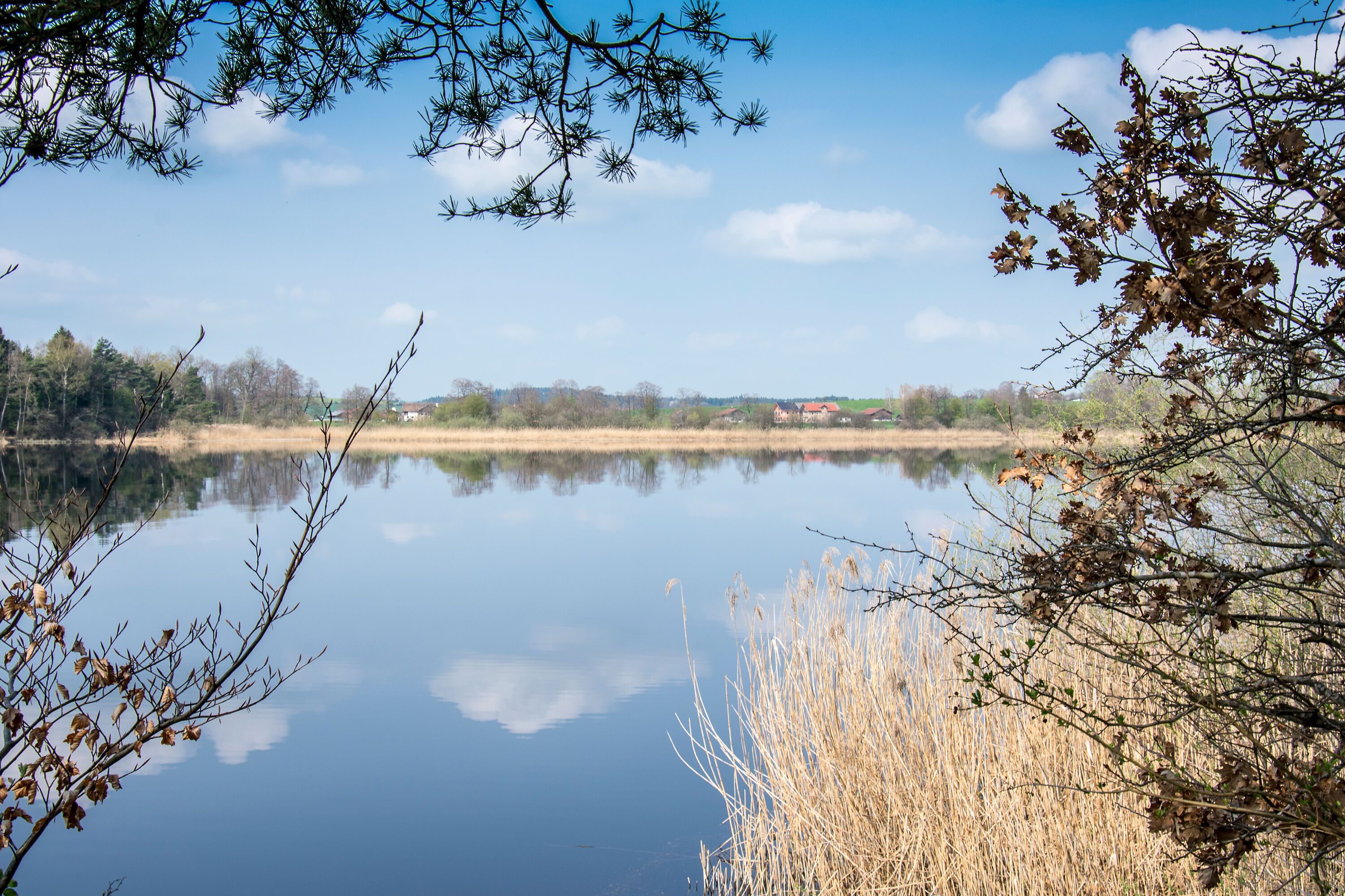 Haarmoos und Abtsdorfer See