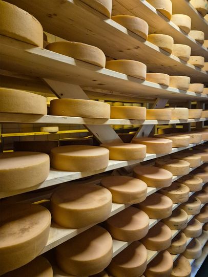 Rohmilchkäse der Dorfkäserei königssee